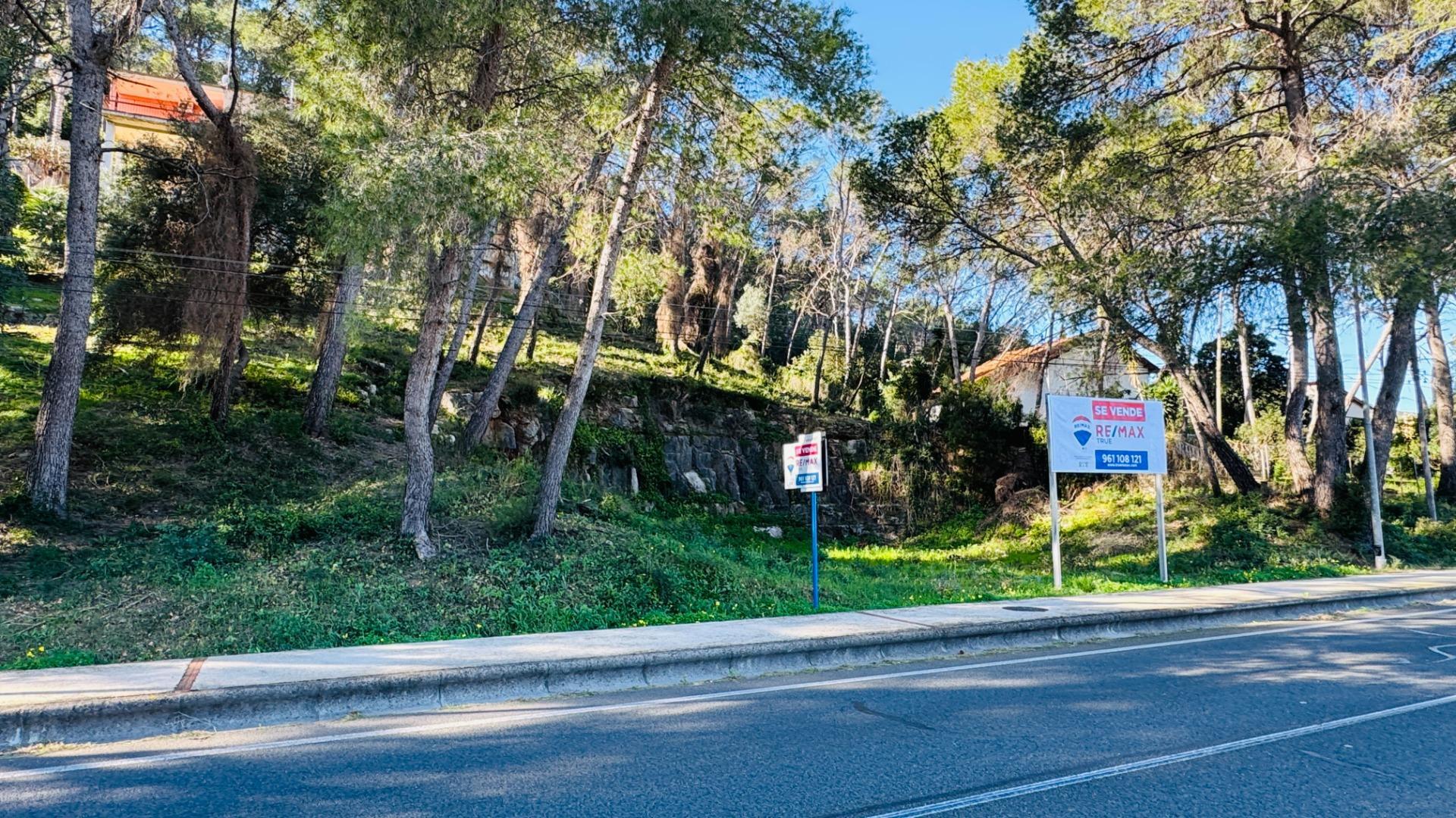 Fincas y solares-Venta-Alzira-2107149-Foto-14