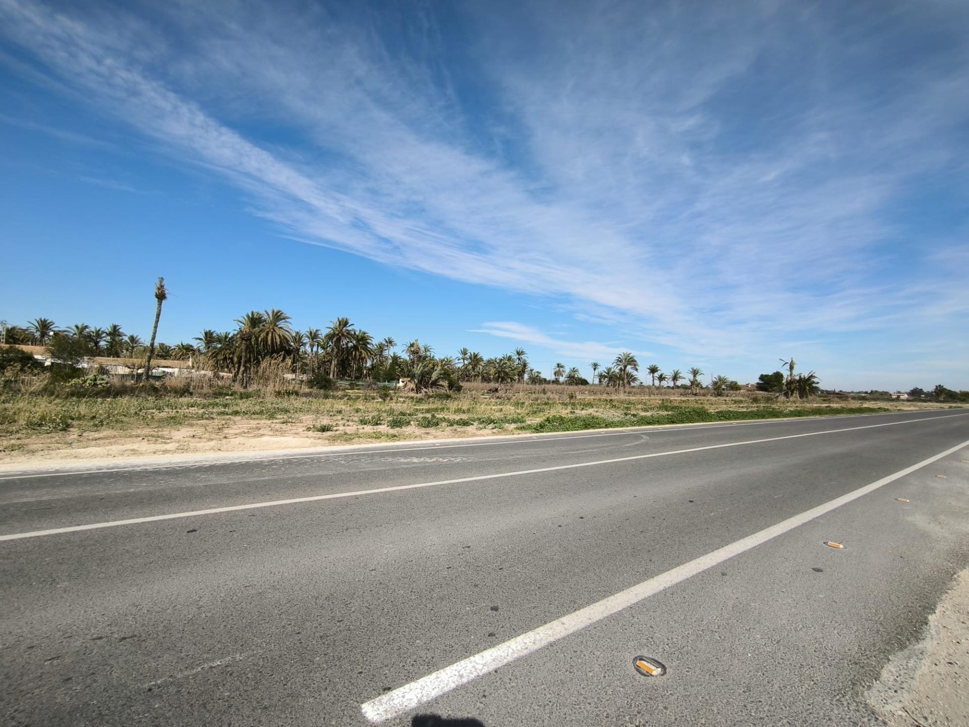 Fincas y solares-Venta-Elche-2107673-Foto-3