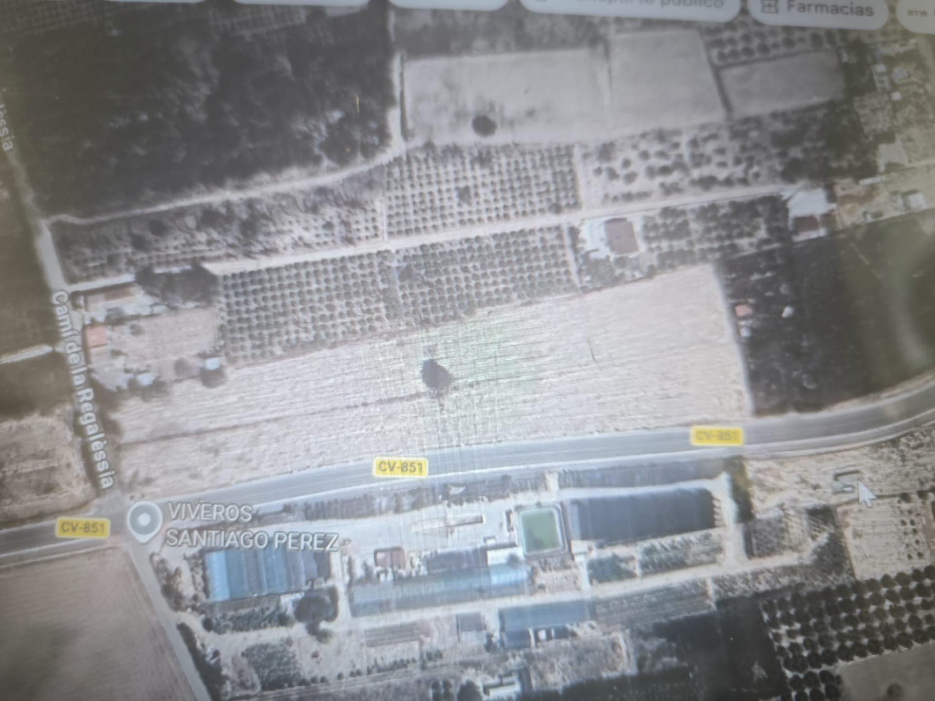 Fincas y solares-Venta-Elche-2107673-Foto-5