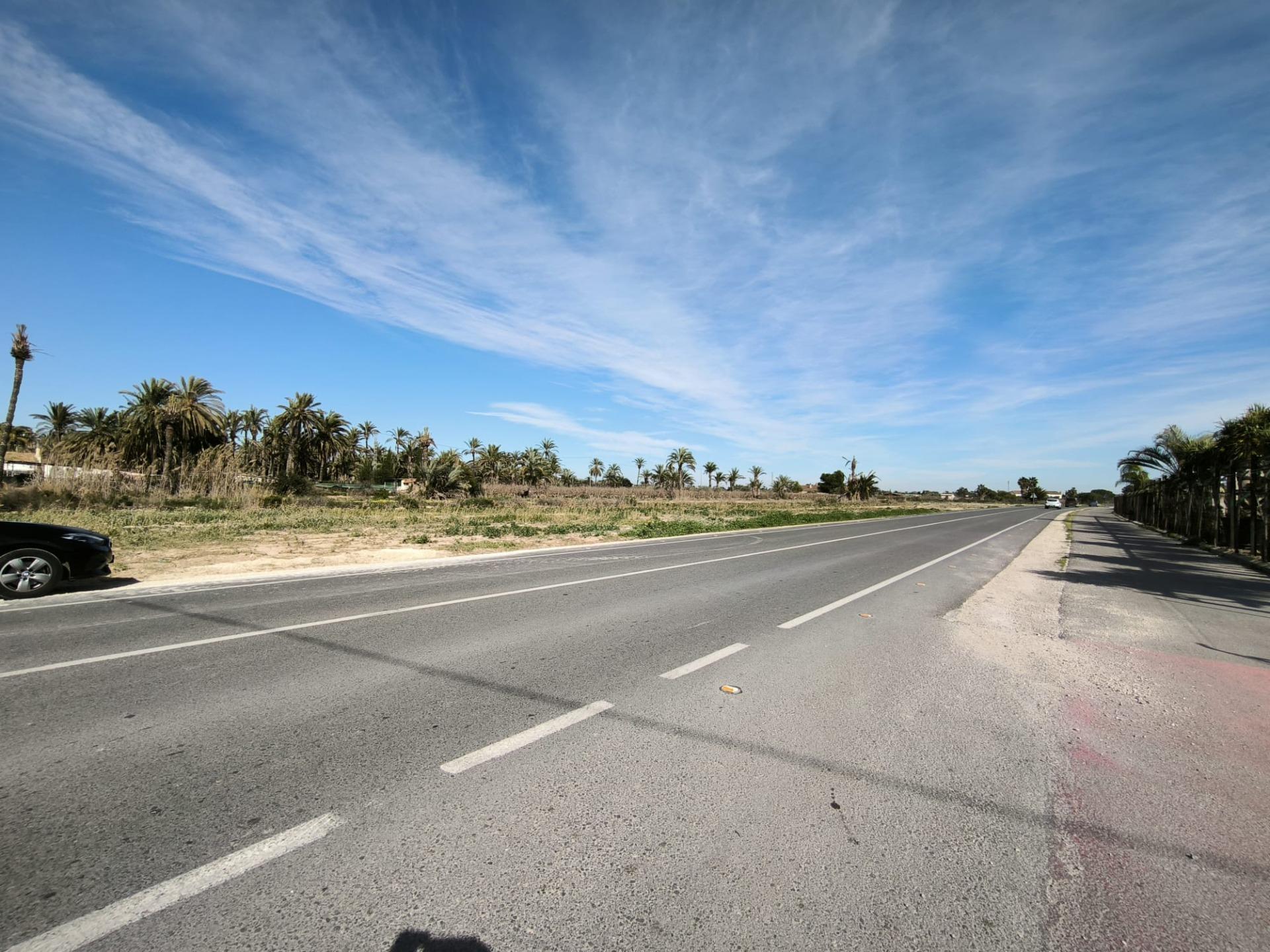 Fincas y solares-Venta-Elche-2107673-Foto-2