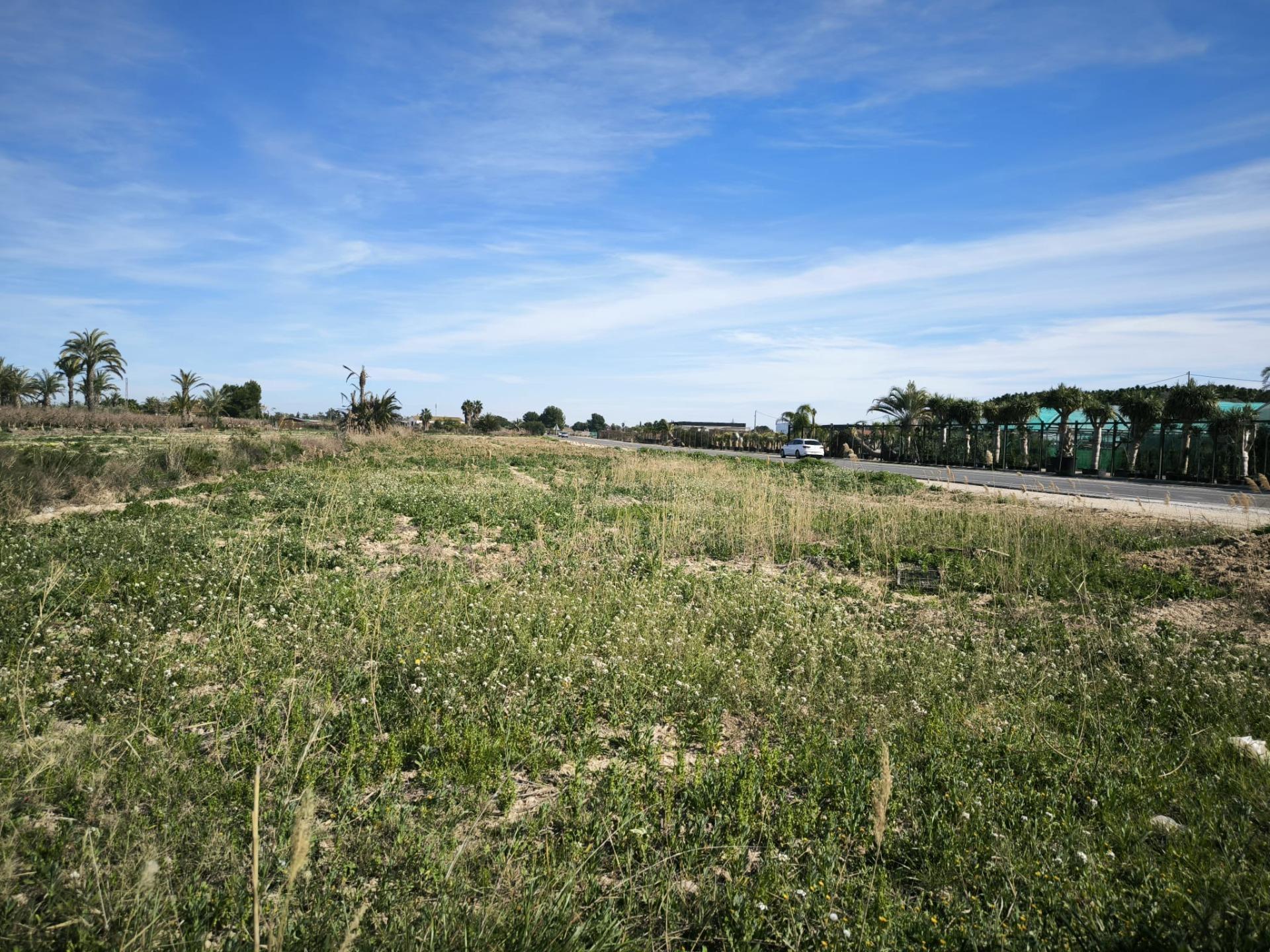 Fincas y solares-Venta-Elche-2107673-Foto-9