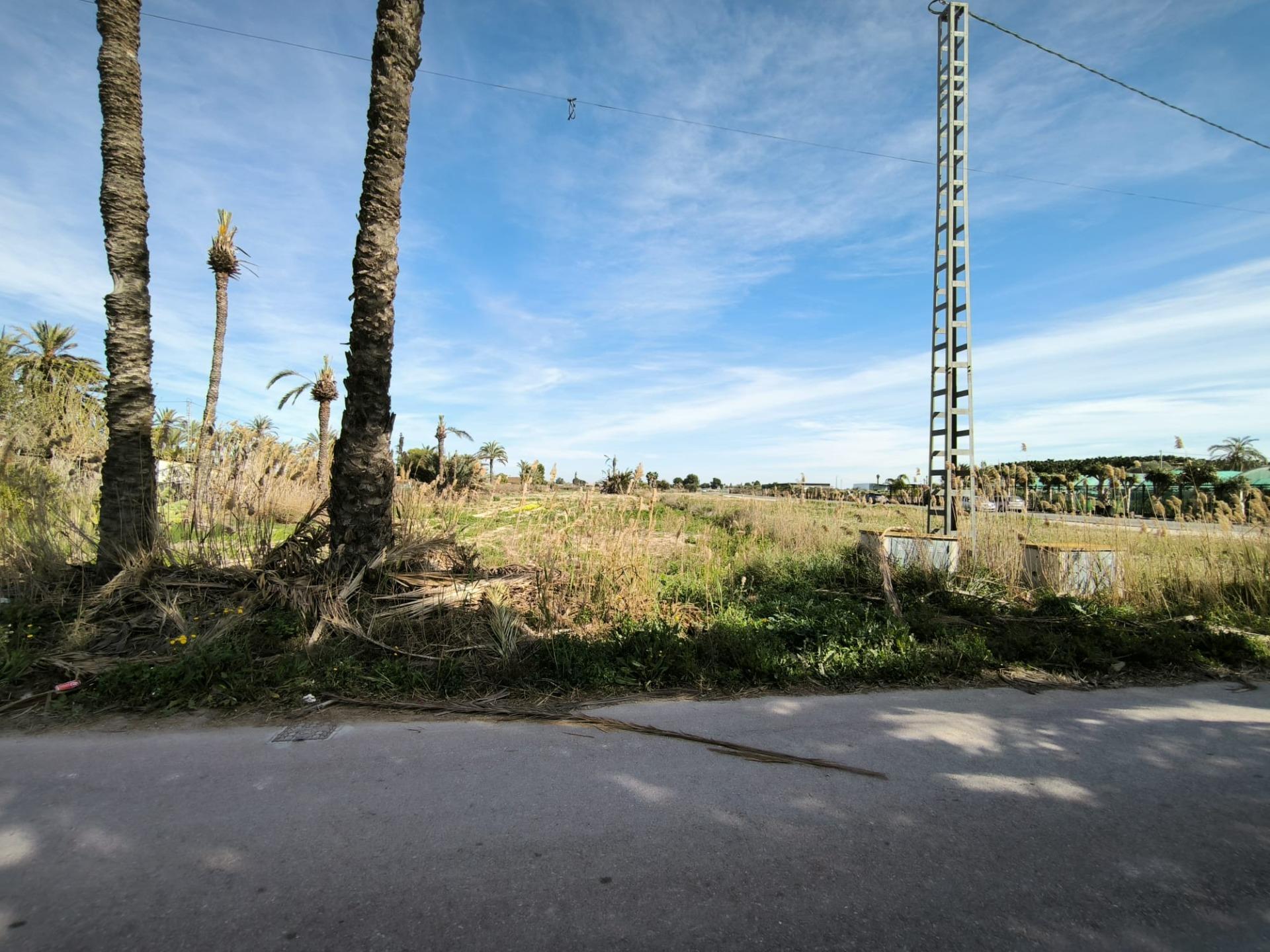 Fincas y solares-Venta-Elche-2107673-Foto-12