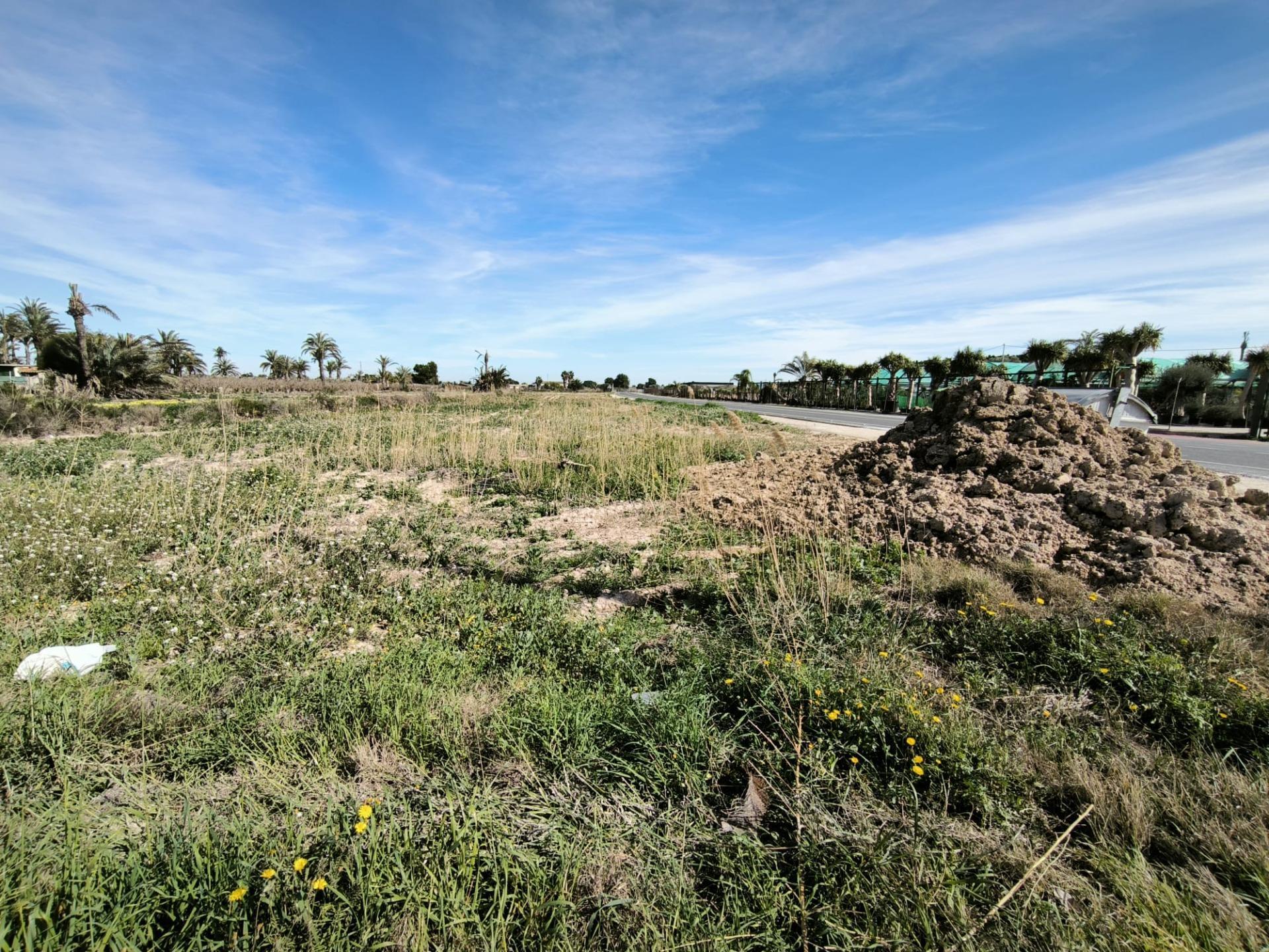 Fincas y solares-Venta-Elche-2107673-Foto-15