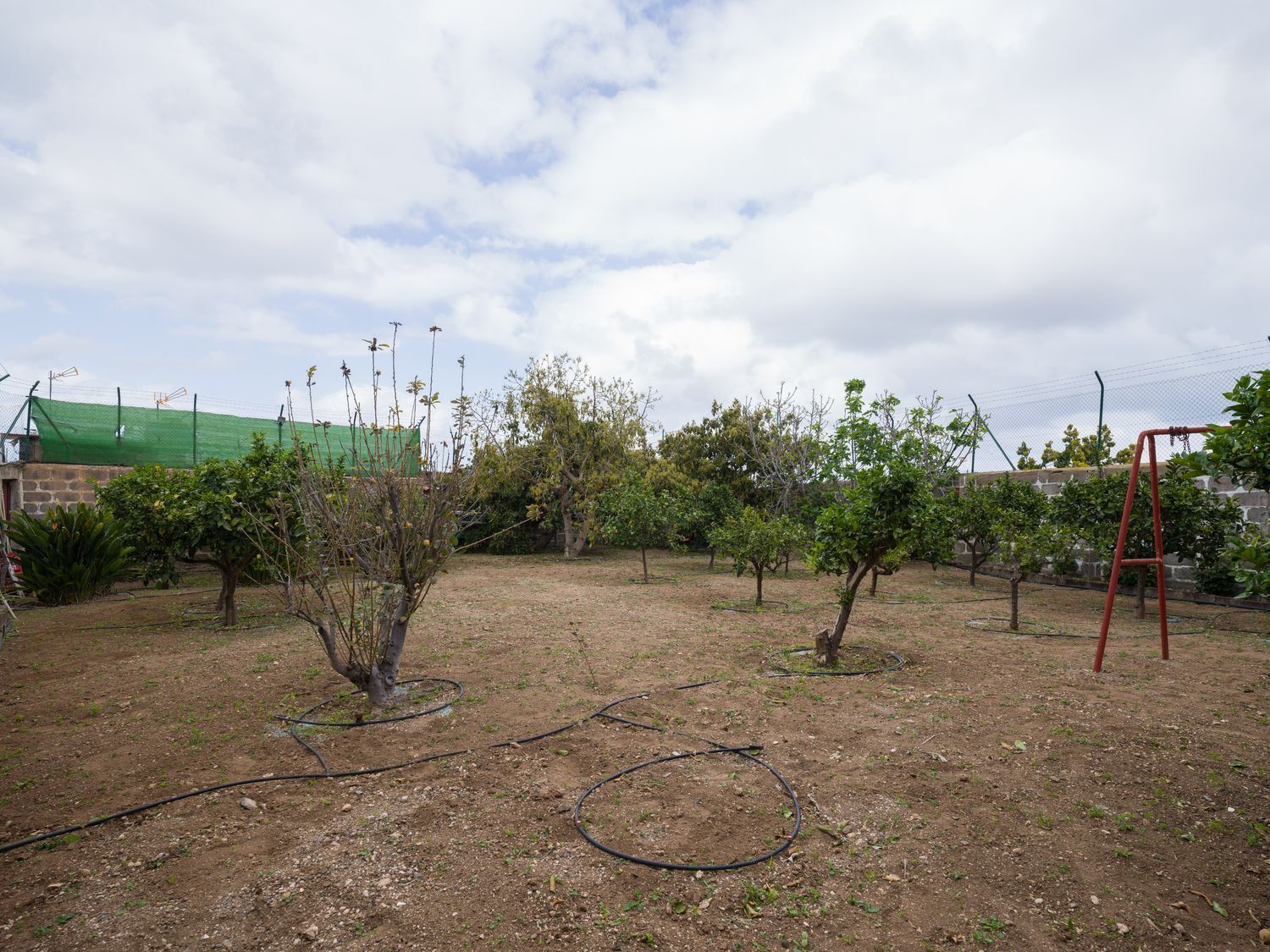 Pisos-Venta-Firgas-2107601-Foto-29