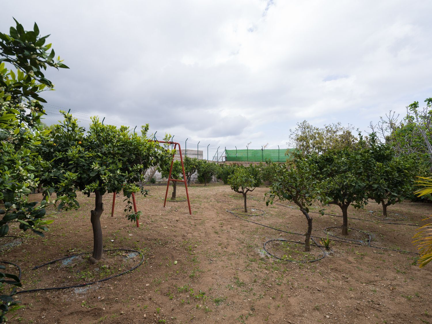 Pisos-Venta-Firgas-2107601-Foto-30