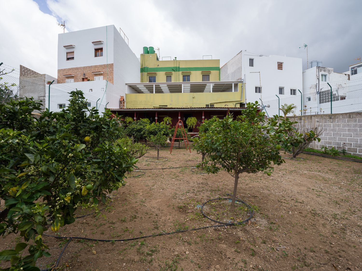 Pisos-Venta-Firgas-2107601-Foto-31