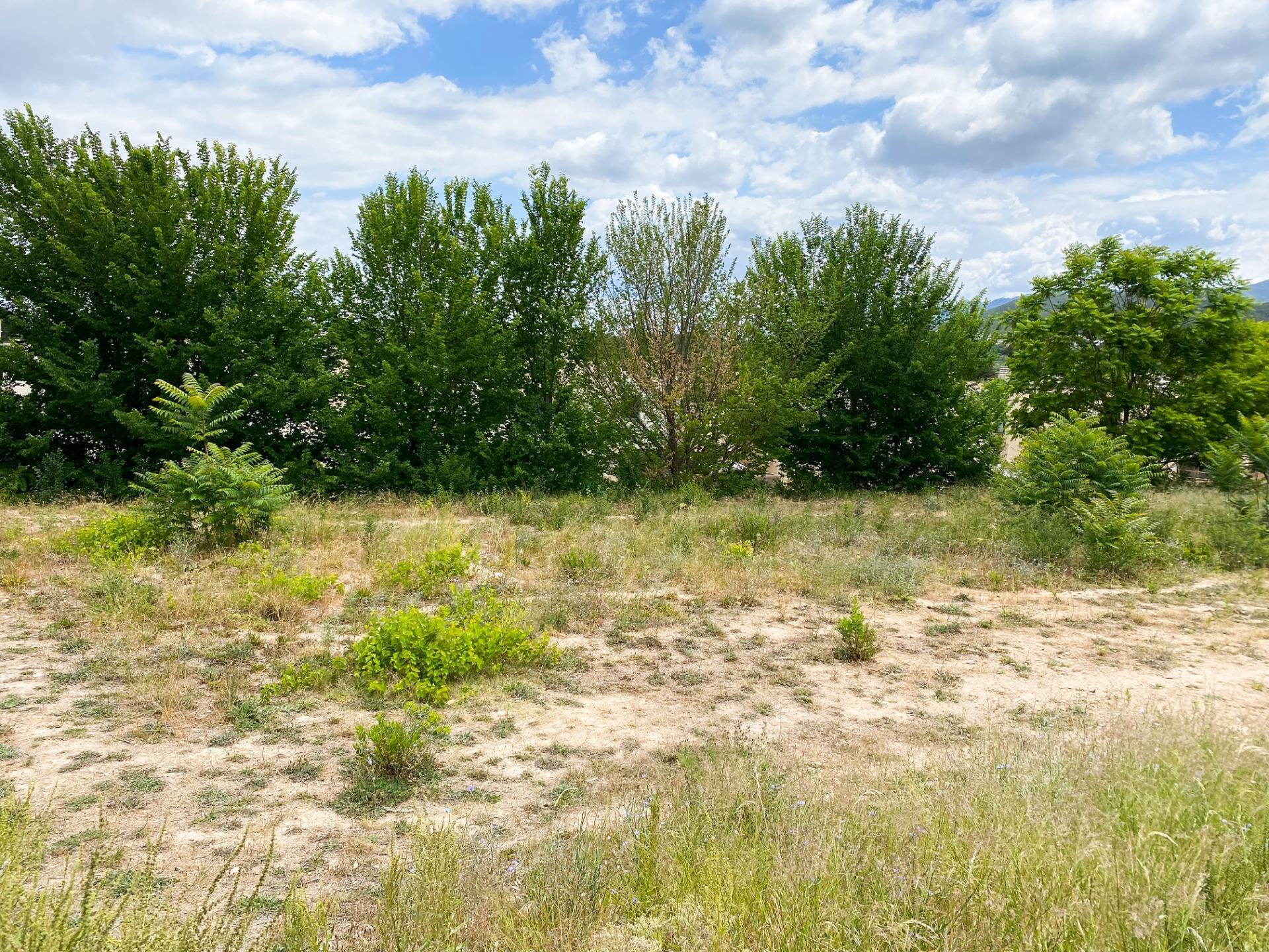 Fincas y solares-Venta-Albaida-1385715-Foto-4