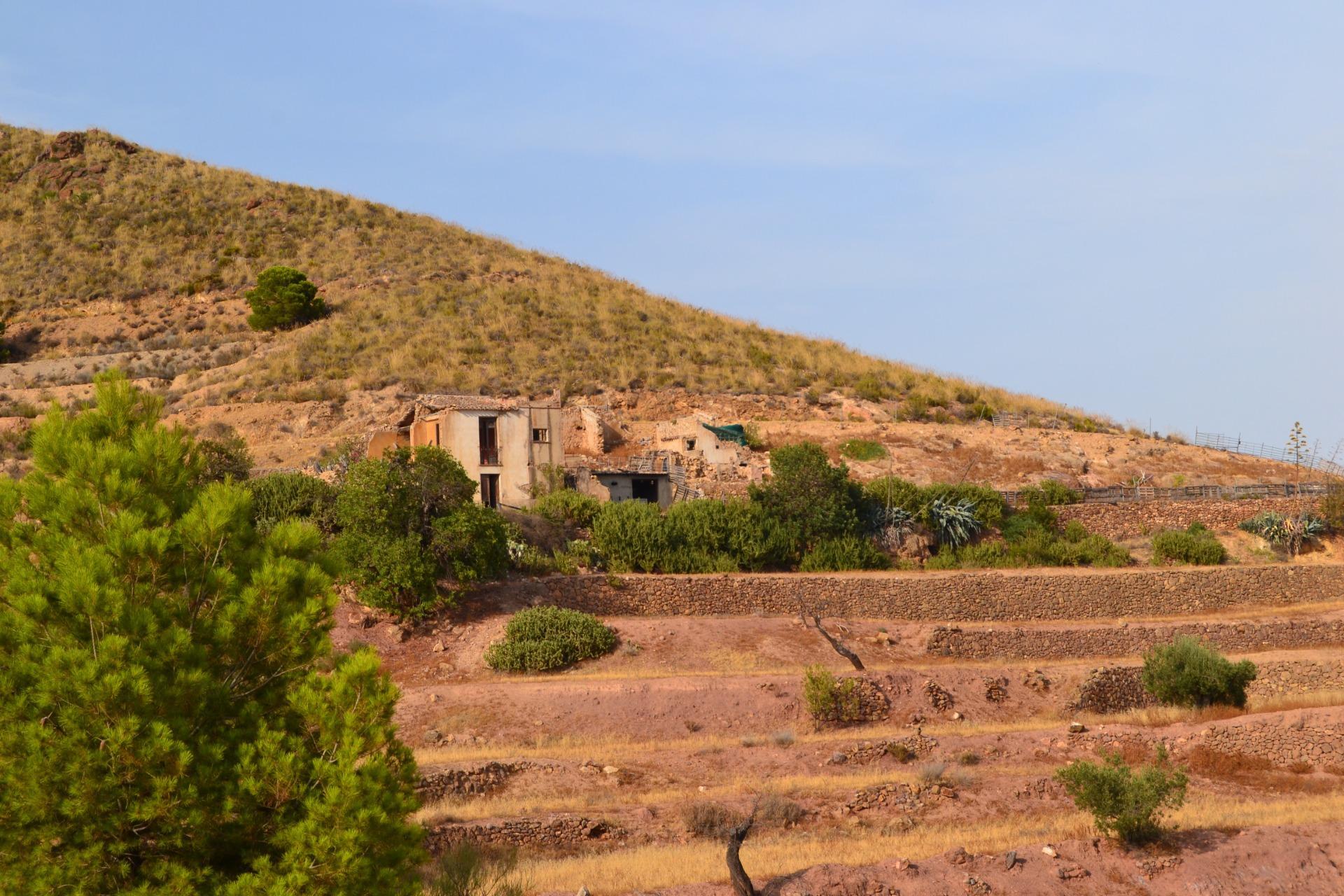 Fincas y solares-Venta-Lorca-1884319-Foto-9