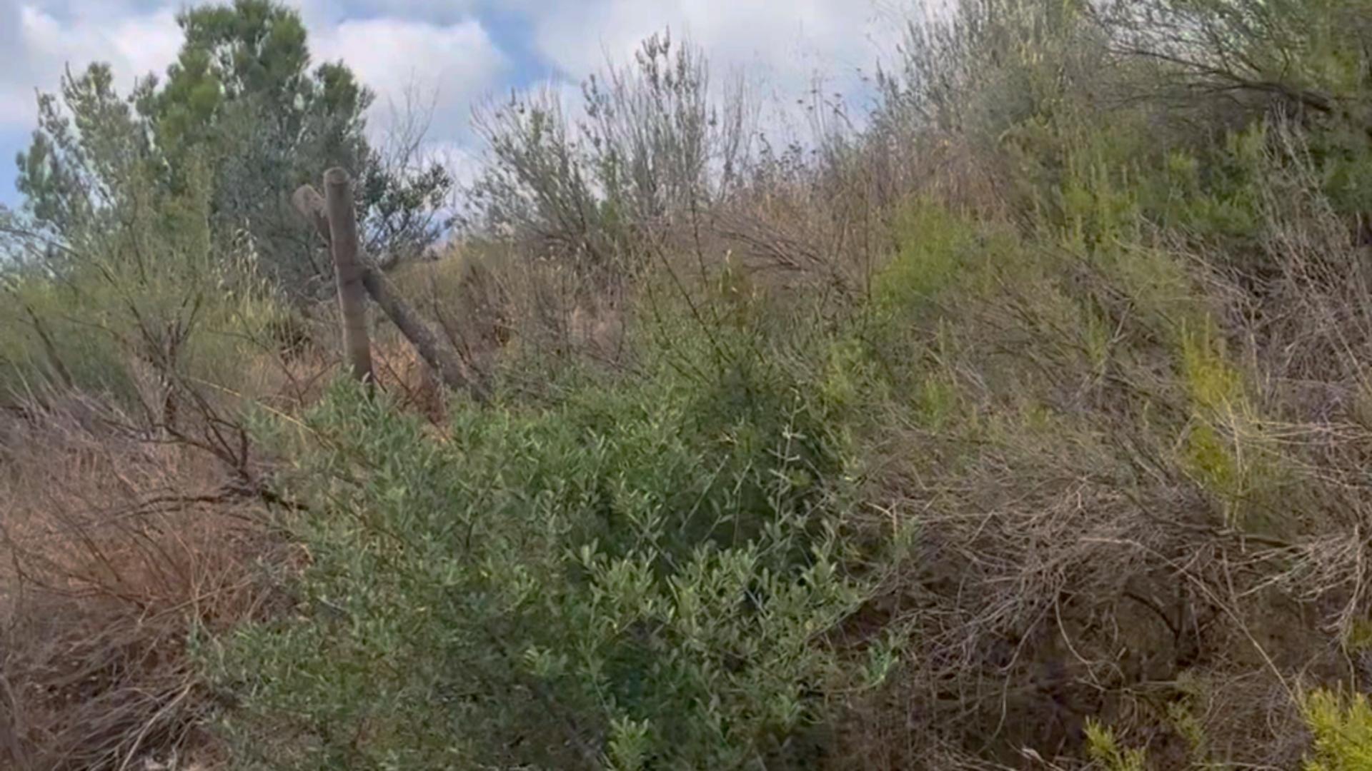 Fincas y solares-Venta-Lorca-1884319-Foto-45