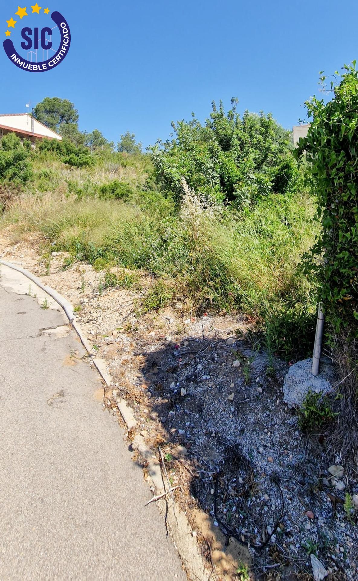 Fincas y solares-Venta-TurÃ­s-1768778-Foto-13