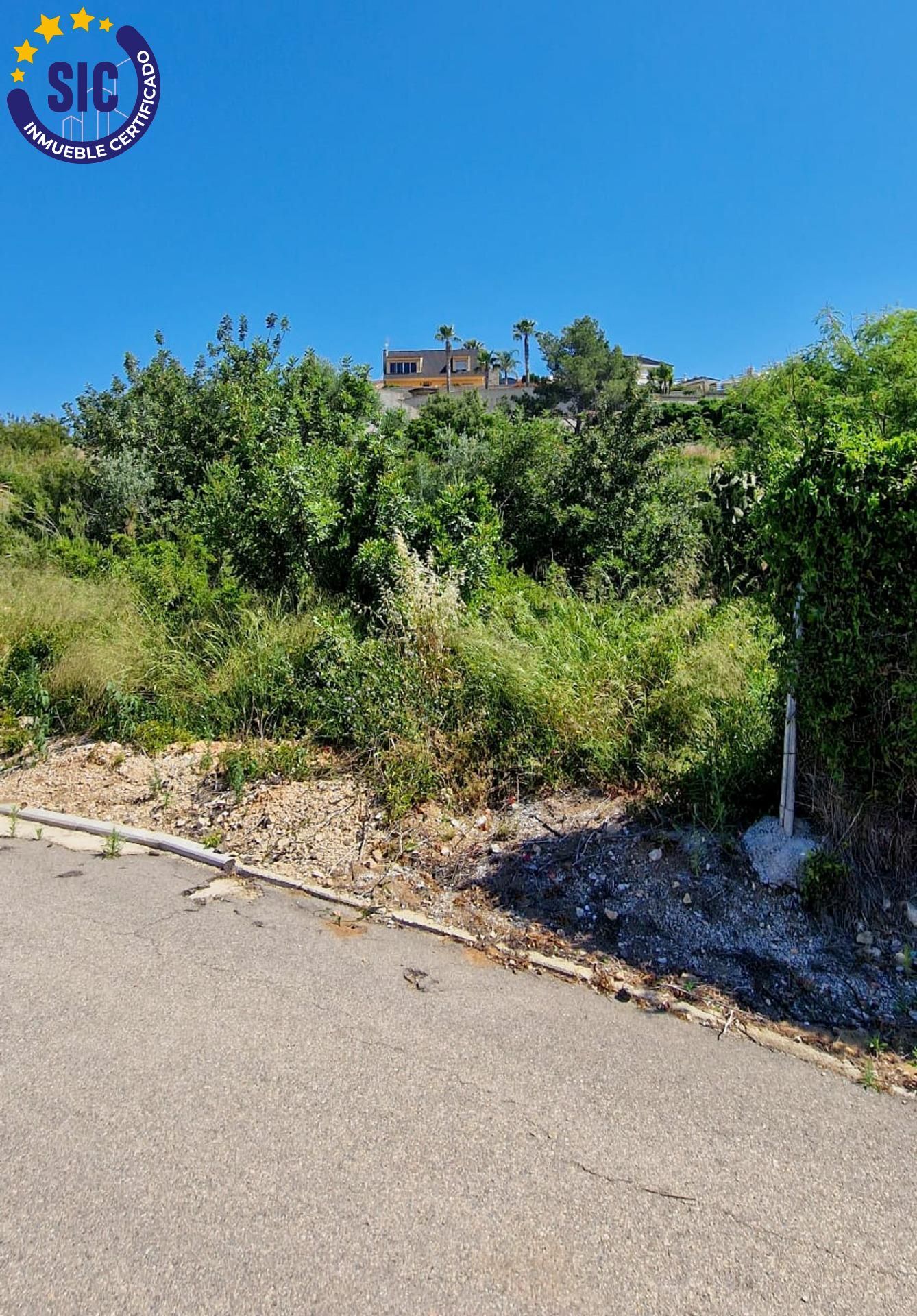 Fincas y solares-Venta-TurÃ­s-1768778-Foto-11