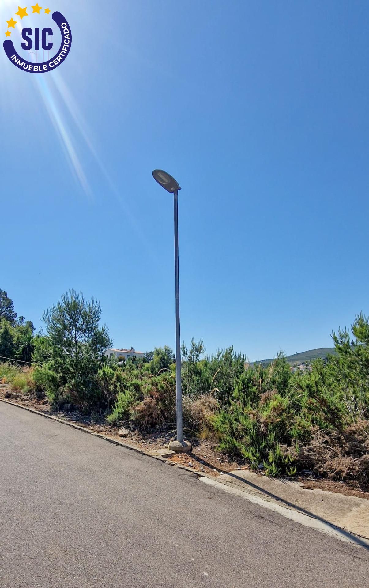 Fincas y solares-Venta-TurÃ­s-1768778-Foto-19