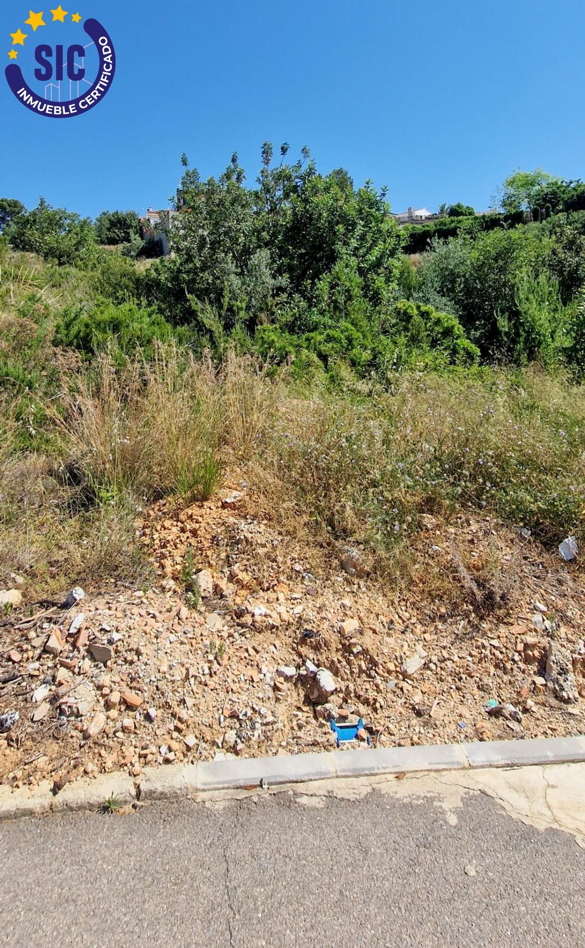 Fincas y solares-Venta-TurÃ­s-1768778-Foto-16