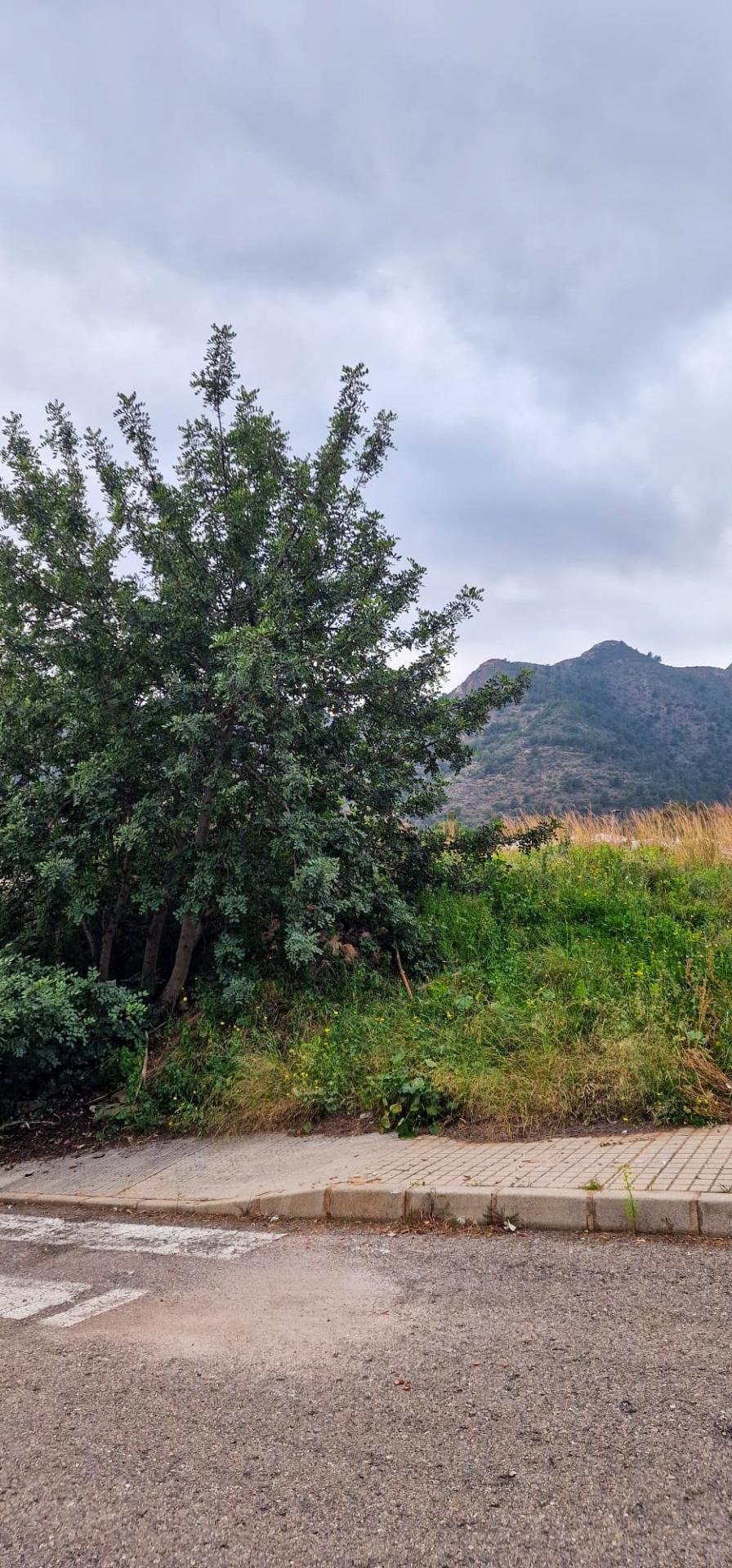 Fincas y solares-Venta-La Vall de Uixo-1653431-Foto-15