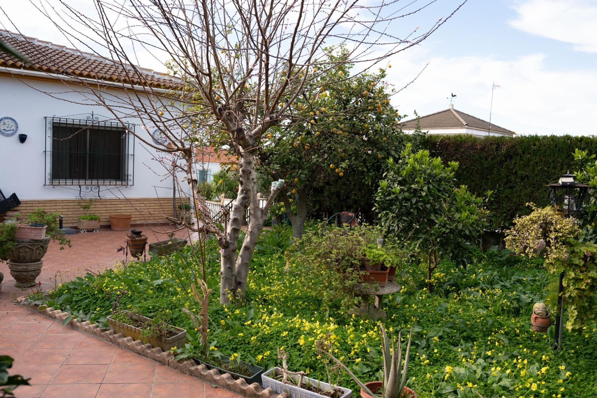 Casas o chalets-Venta-Gines-2107652-Foto-35