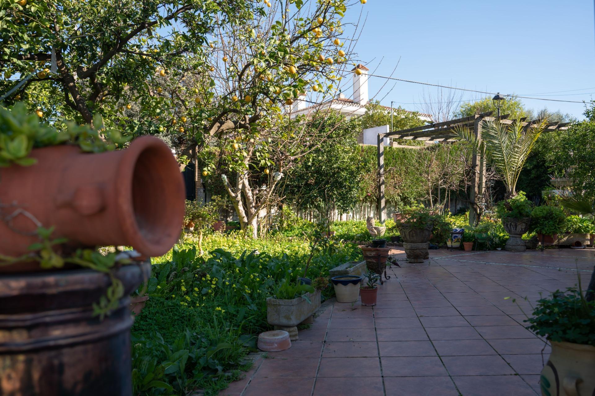 Casas o chalets-Venta-Gines-2107652-Foto-38