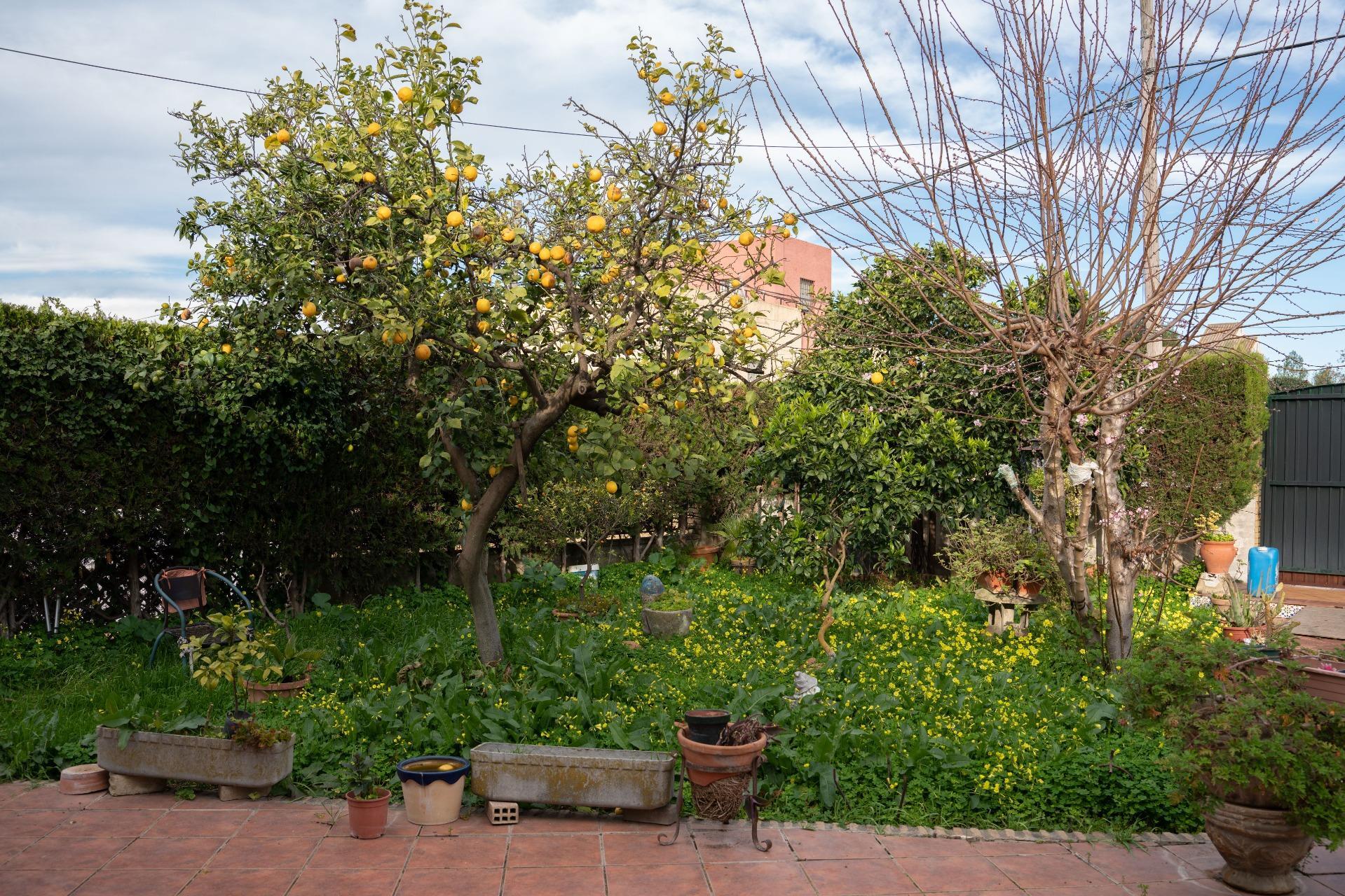 Casas o chalets-Venta-Gines-2107652-Foto-44