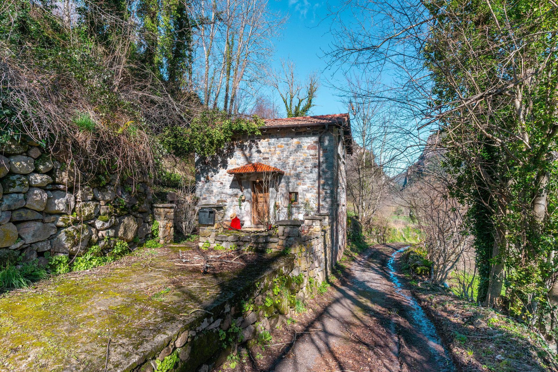 Casas o chalets-Venta-Somiedo-2107658-Foto-32