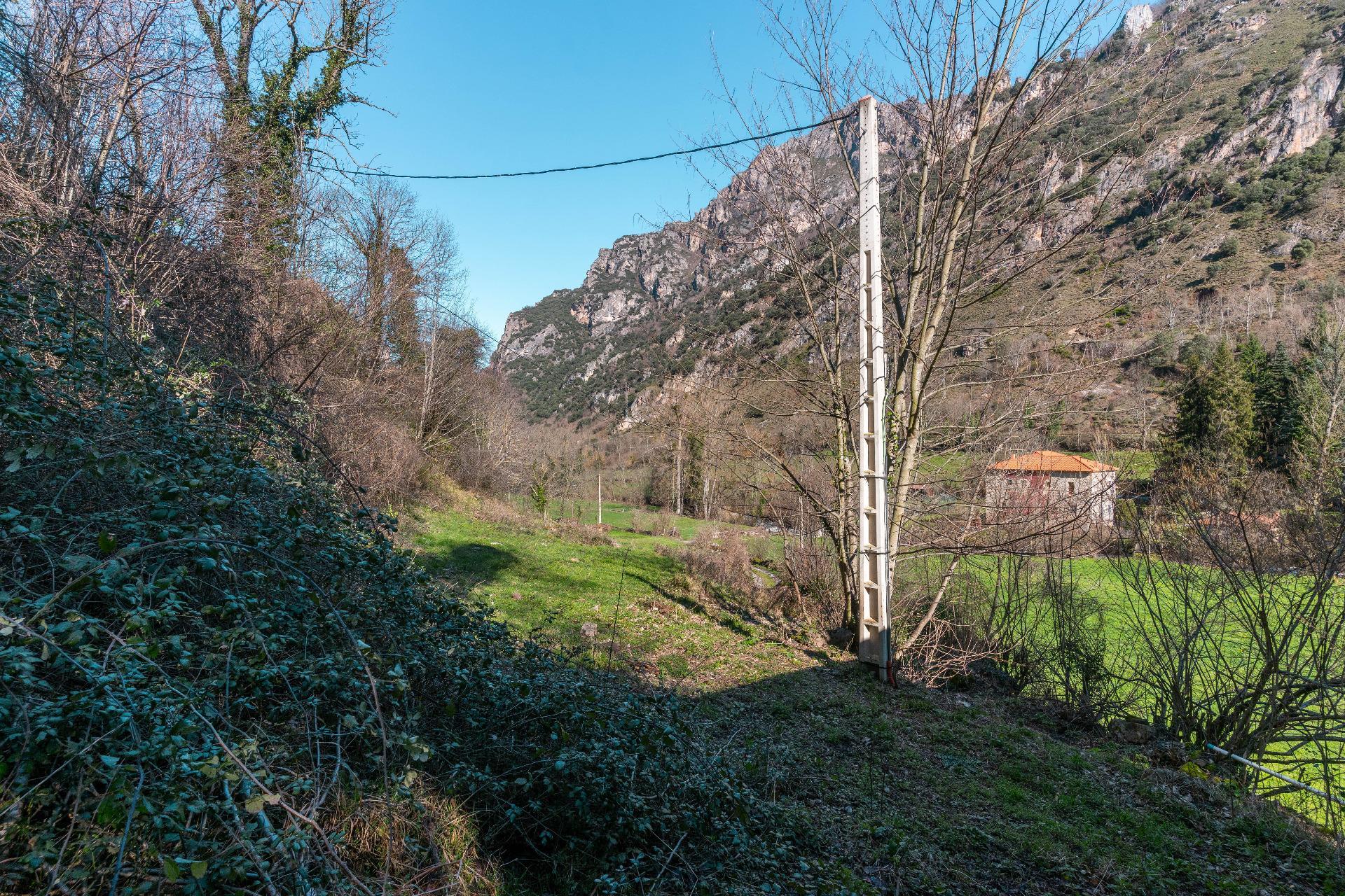 Casas o chalets-Venta-Somiedo-2107658-Foto-41