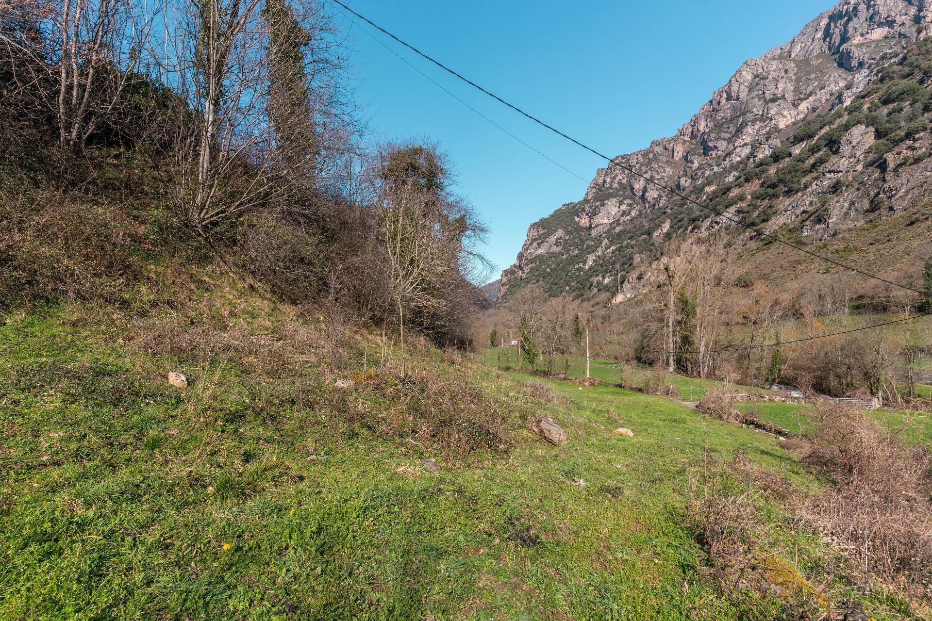 Casas o chalets-Venta-Somiedo-2107658-Foto-45