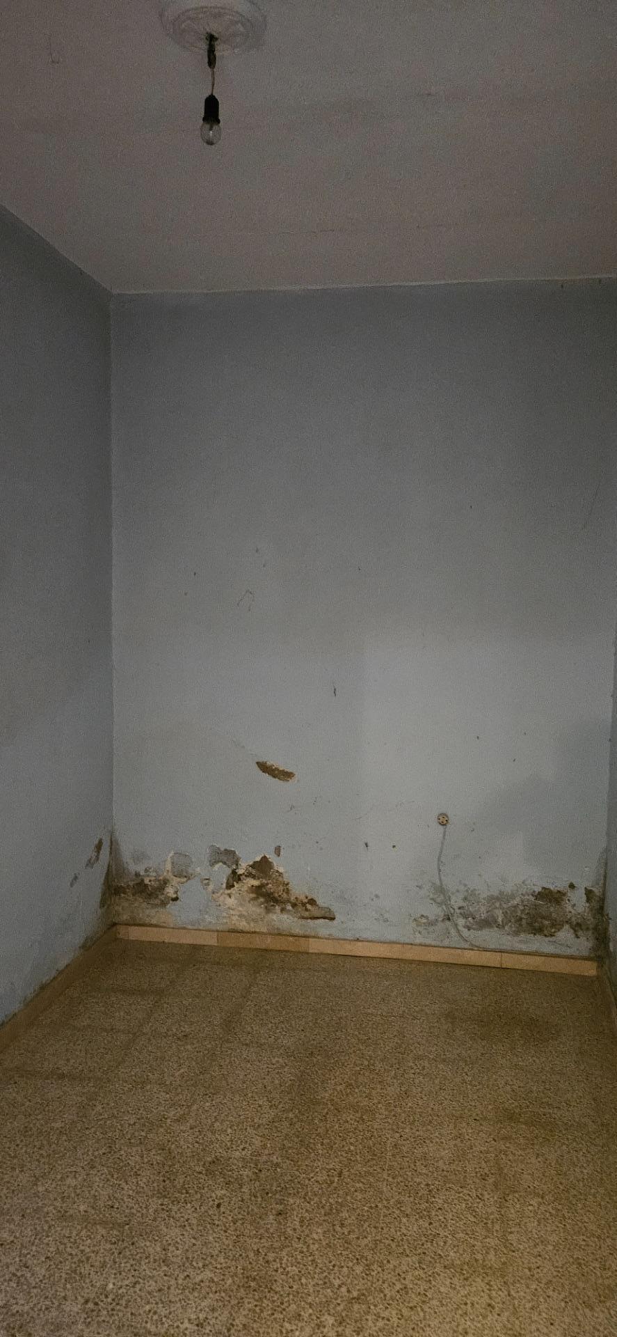 Casas o chalets-Venta-Santa BrÃ­gida-2107682-Foto-12