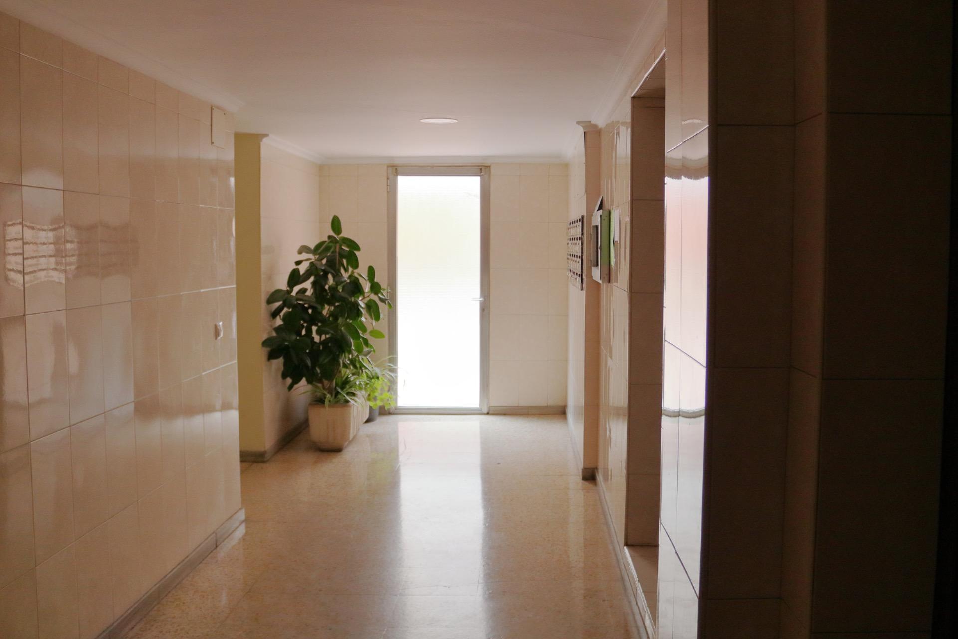 Pisos-Venta-Valladolid-2108084-Foto-4