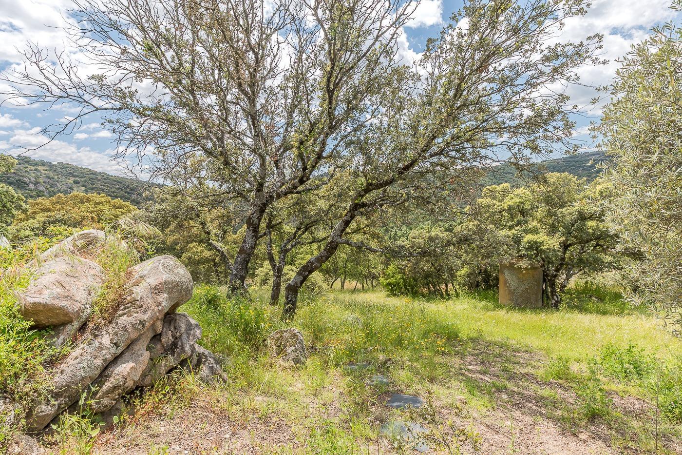 Casas o chalets-Venta-Torrelodones-1835338-Foto-85