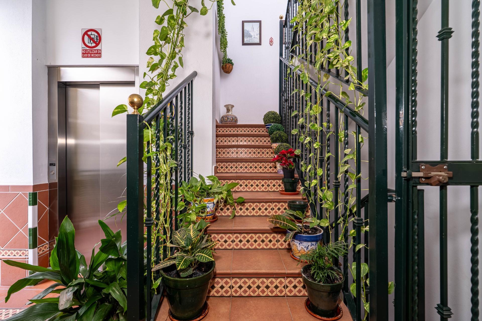 Exclusivo Ático Dúplex con Terraza y Piscina Privada en la mejor zona de triana.