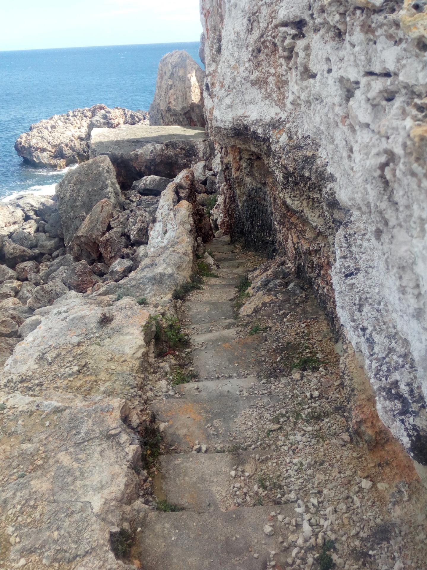 Singular pareado en el parque natural de Mondragó