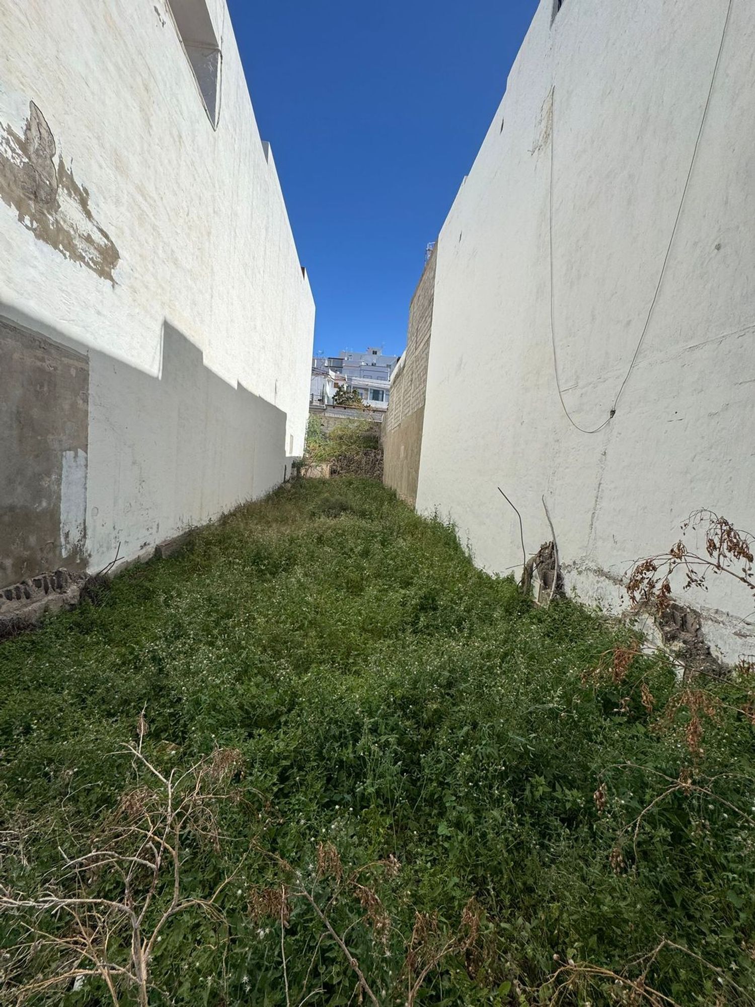 Fincas y solares-Venta-Agaete-2108120-Foto-3