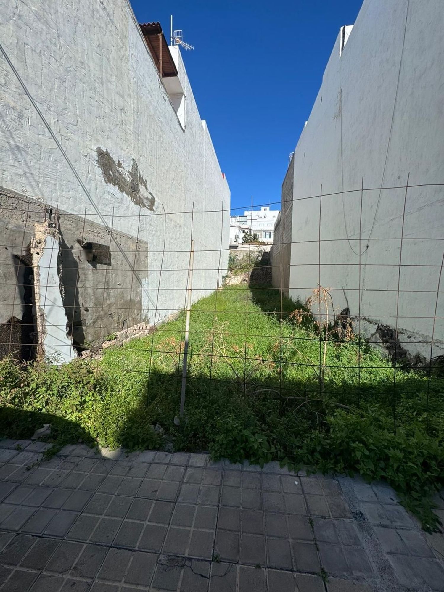 Fincas y solares-Venta-Agaete-2108120-Foto-7