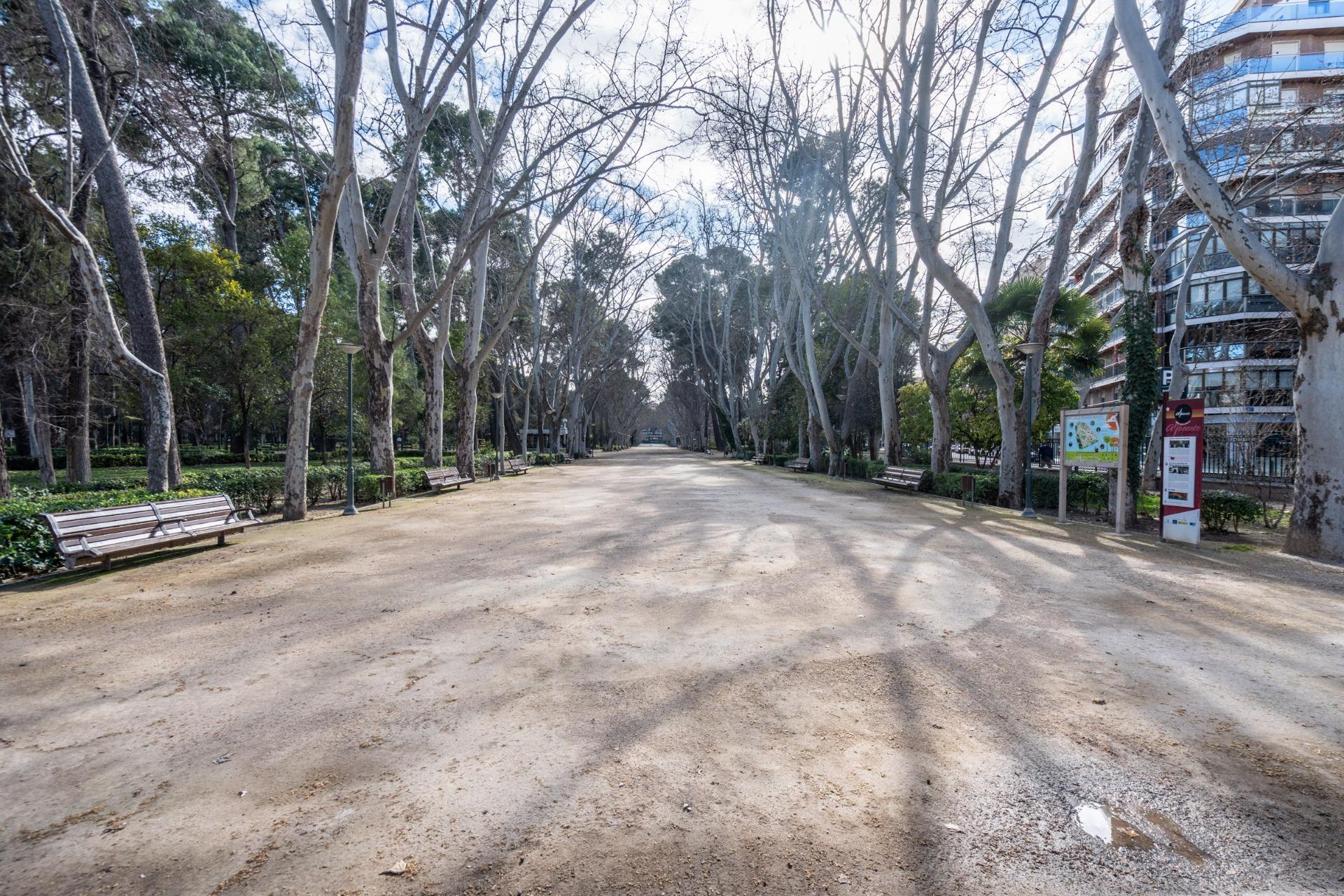 Pisos-Venta-Albacete-2108129-Foto-33