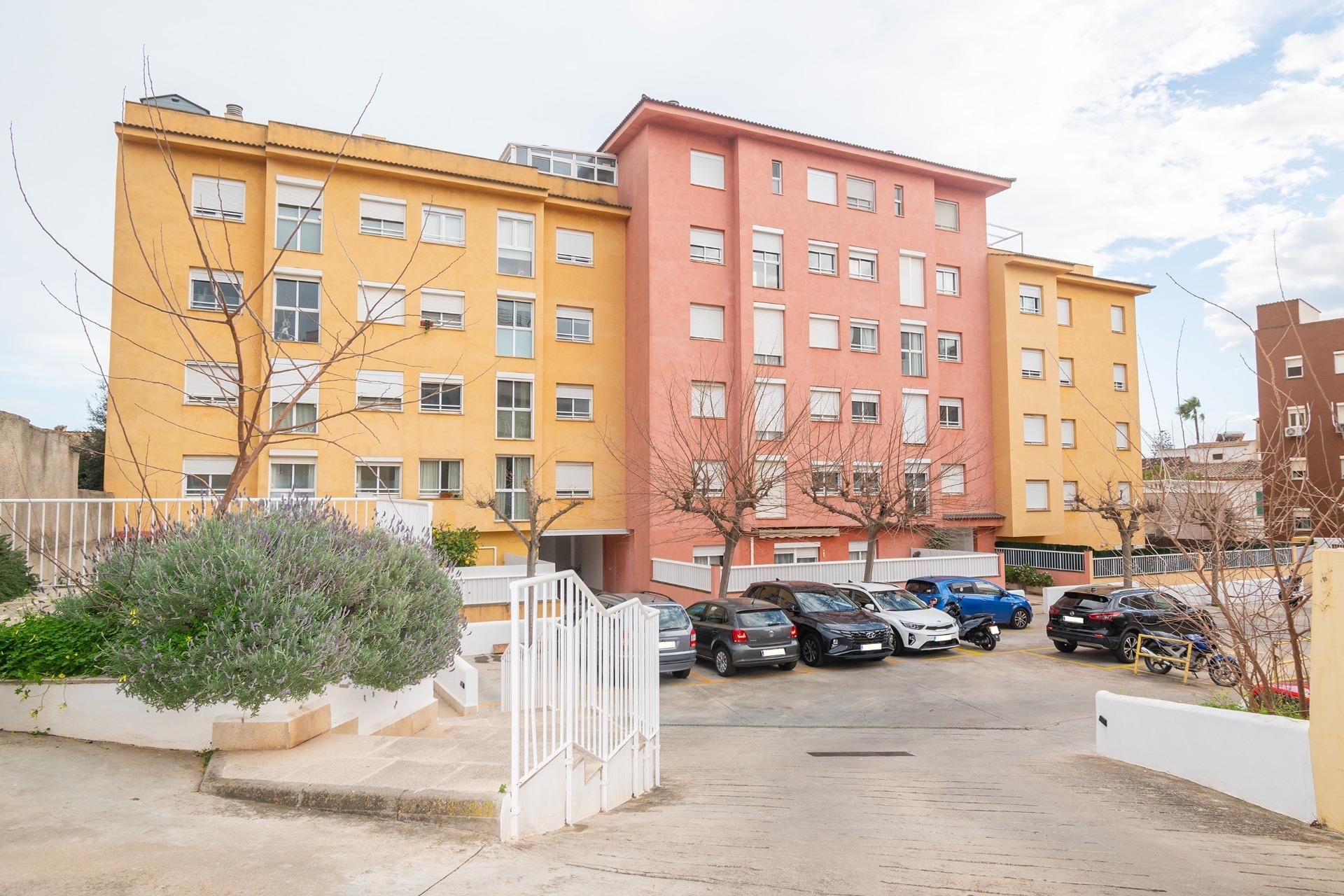 Garajes-Venta-Palma de Mallorca-2115347-Foto-4