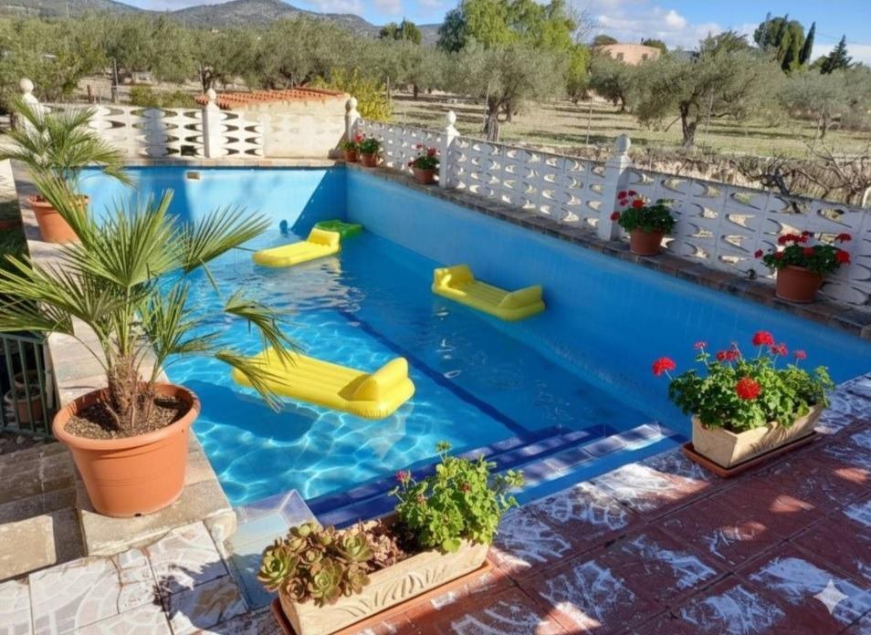 Pisos-Venta-El Bonillo-2153072-Foto-4