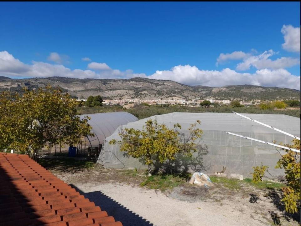 Pisos-Venta-El Bonillo-2153072-Foto-18