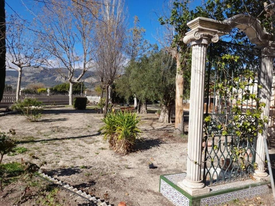 Pisos-Venta-El Bonillo-2153072-Foto-17