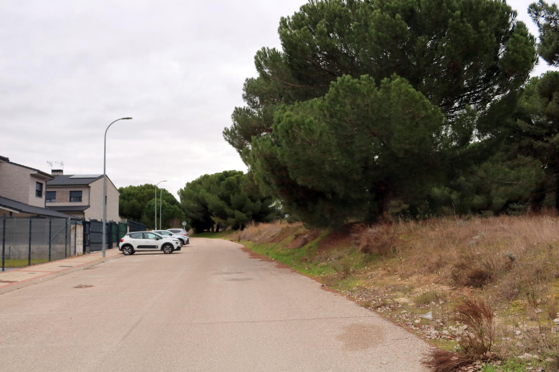 Casas o chalets-Venta-Tudela de Duero-2108168