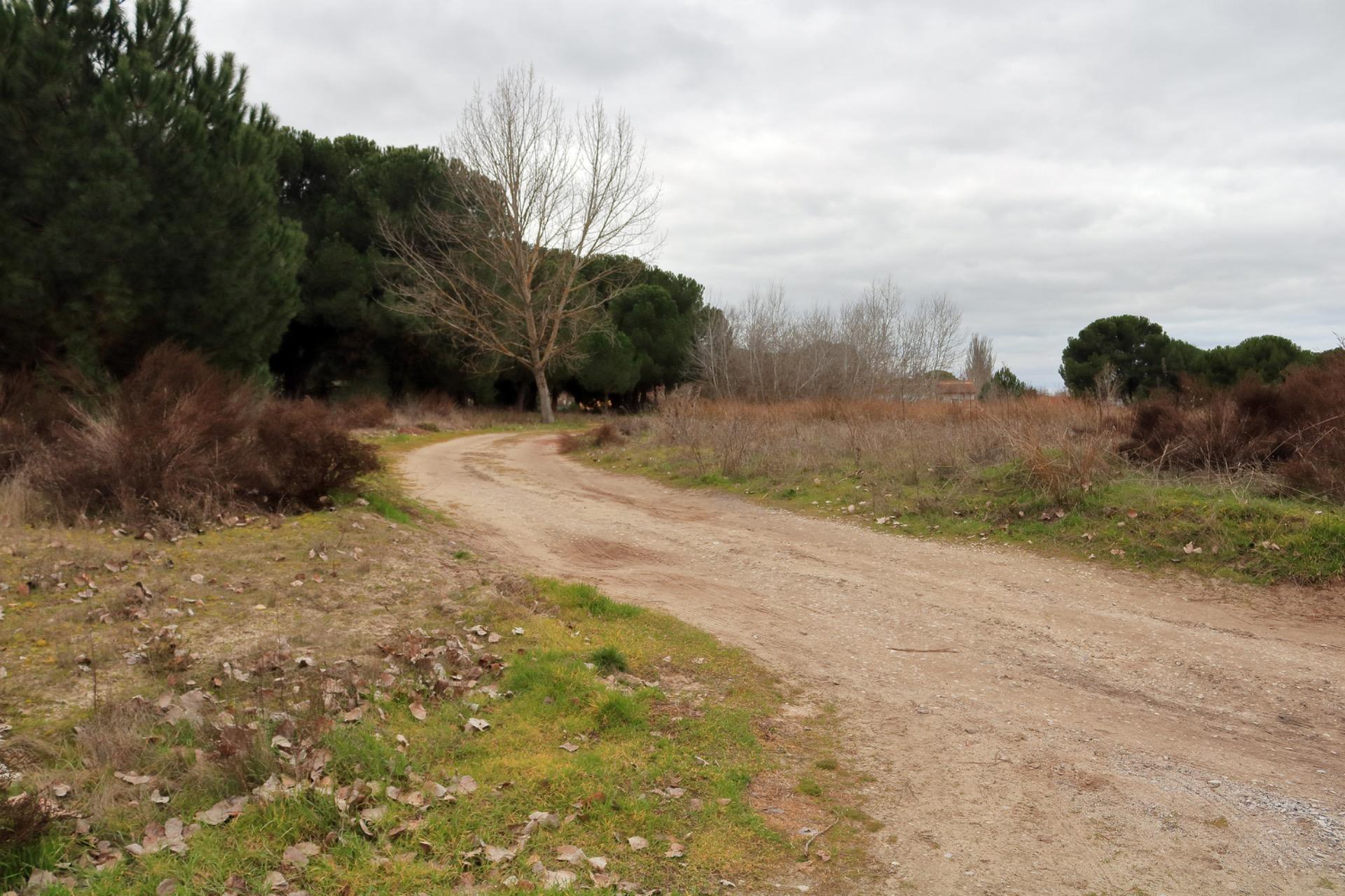 Casas o chalets-Venta-Tudela de Duero-2108168-Foto-2