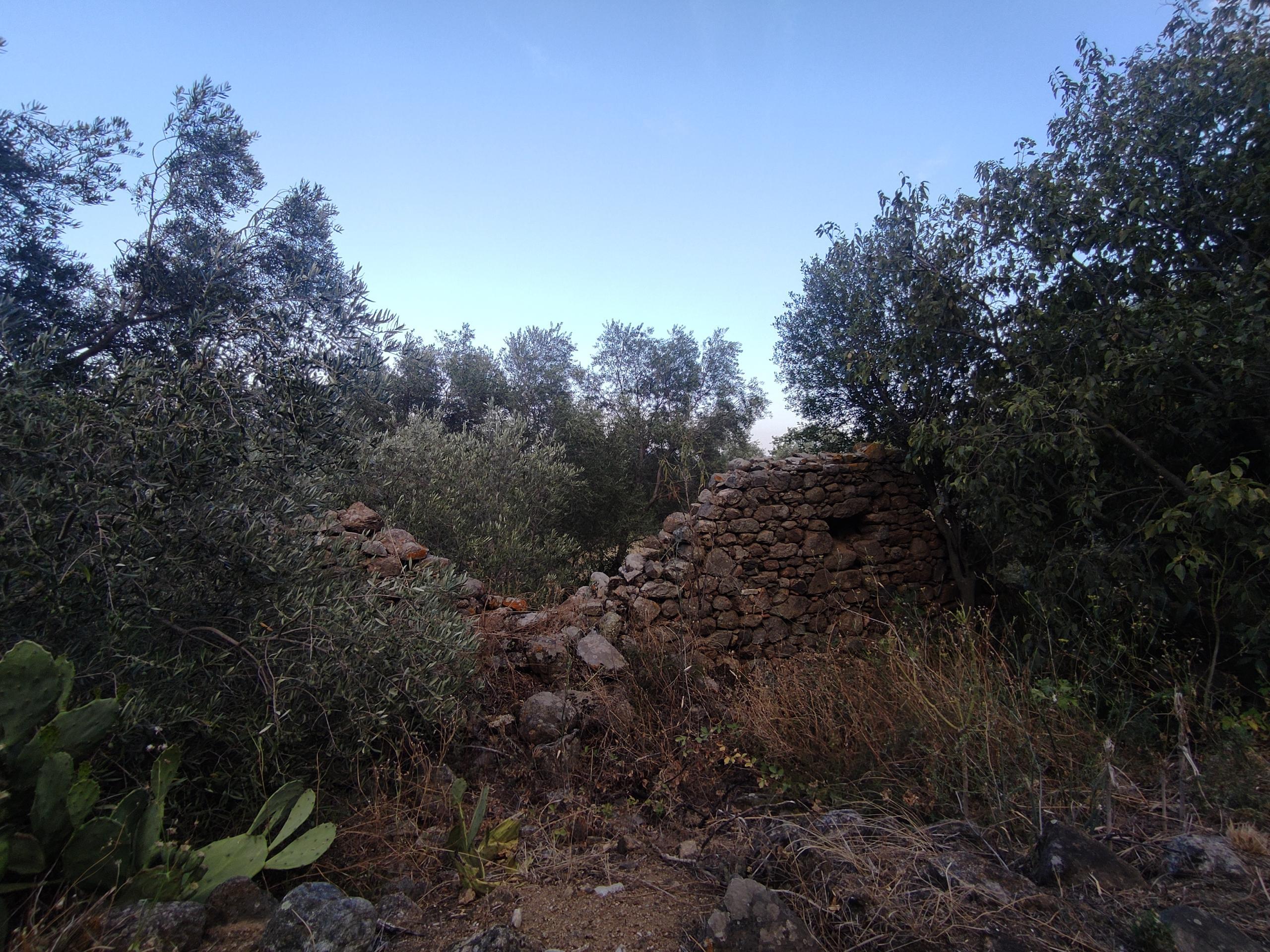 Masia en Ruinas -Vilartoli