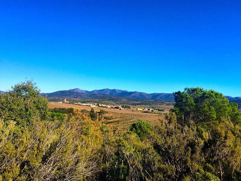 Masia en Ruinas -Vilartoli