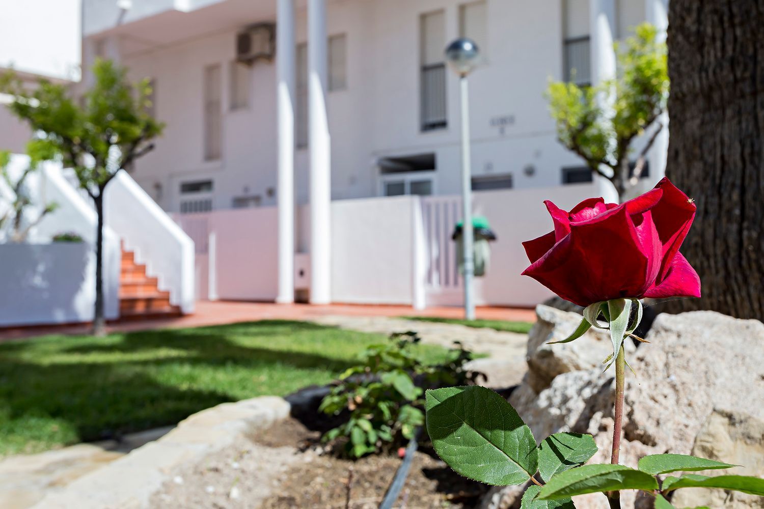 Propiedad en alquiler en Almería, Vera