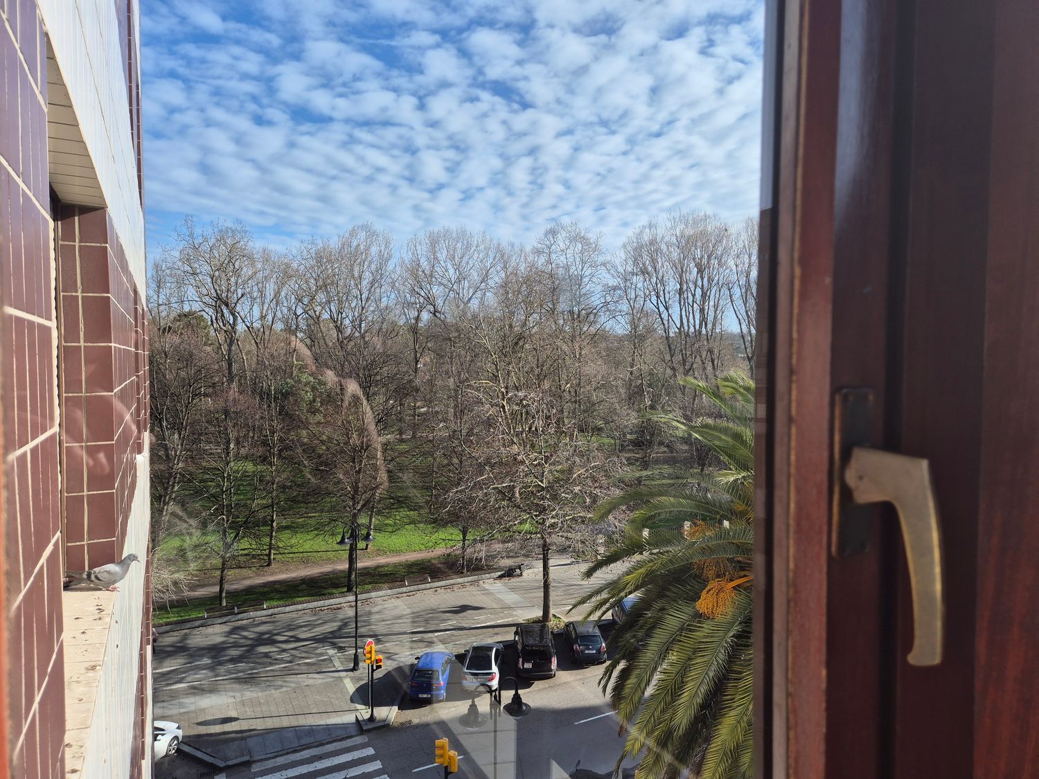 Pisos-Alquiler-GijÃ³n-2108372-Foto-5