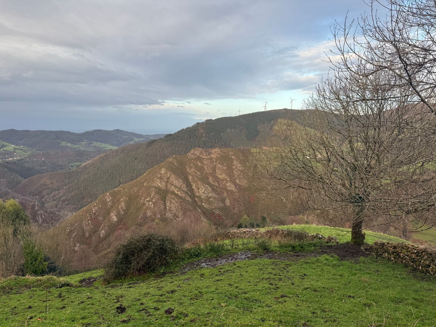 Casas o chalets-Venta-ValdÃ©s-2108375-Foto-8