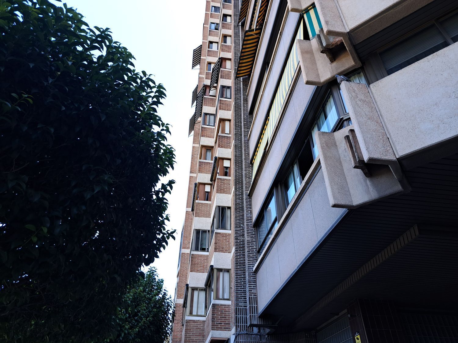 Pisos-Alquiler-Valladolid-1583611-Foto-3