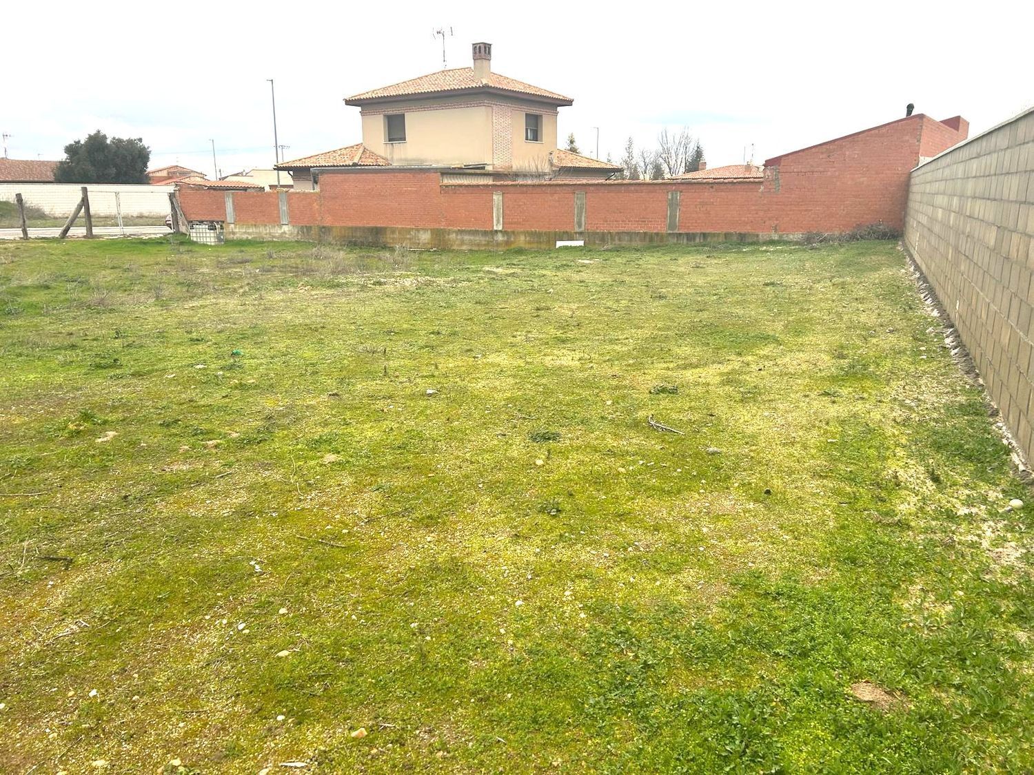 Fincas y solares-Venta-Matapozuelos-2108384-Foto-2