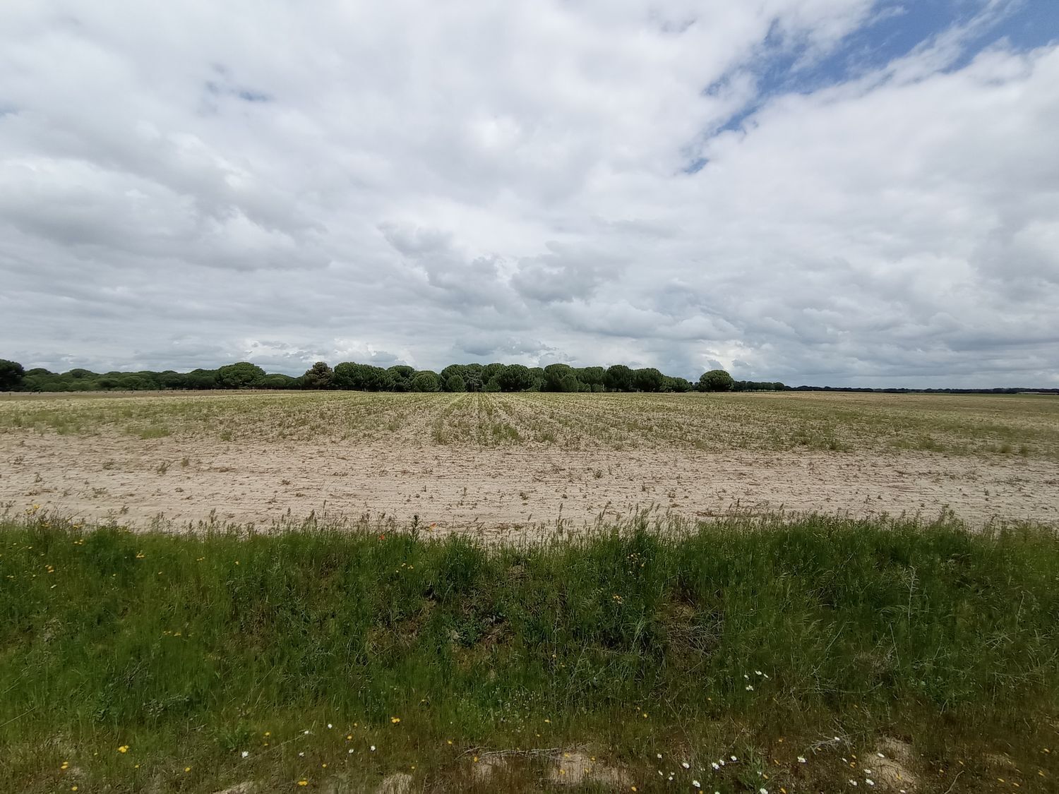 Fincas y solares-Venta-Matapozuelos-1743373-Foto-2