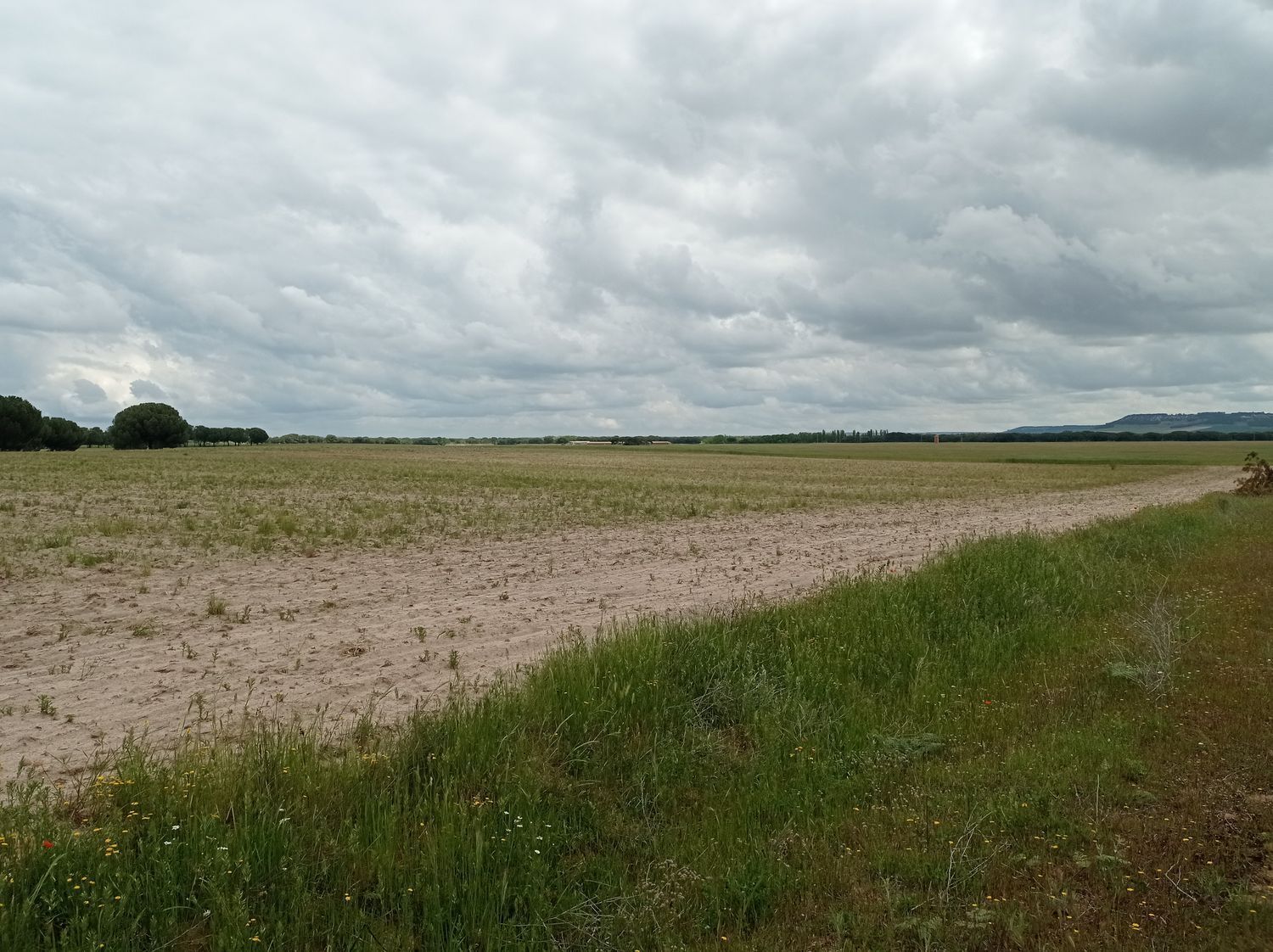 Fincas y solares-Venta-Matapozuelos-1743373-Foto-15