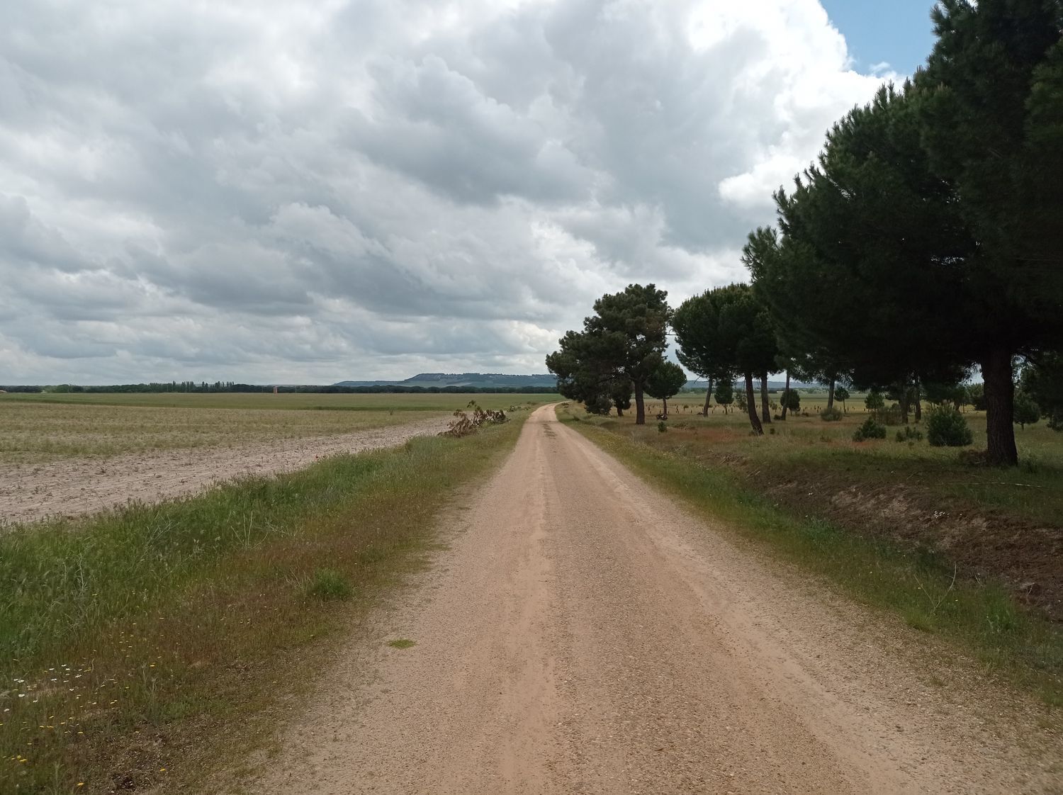 Fincas y solares-Venta-Matapozuelos-1743373-Foto-16