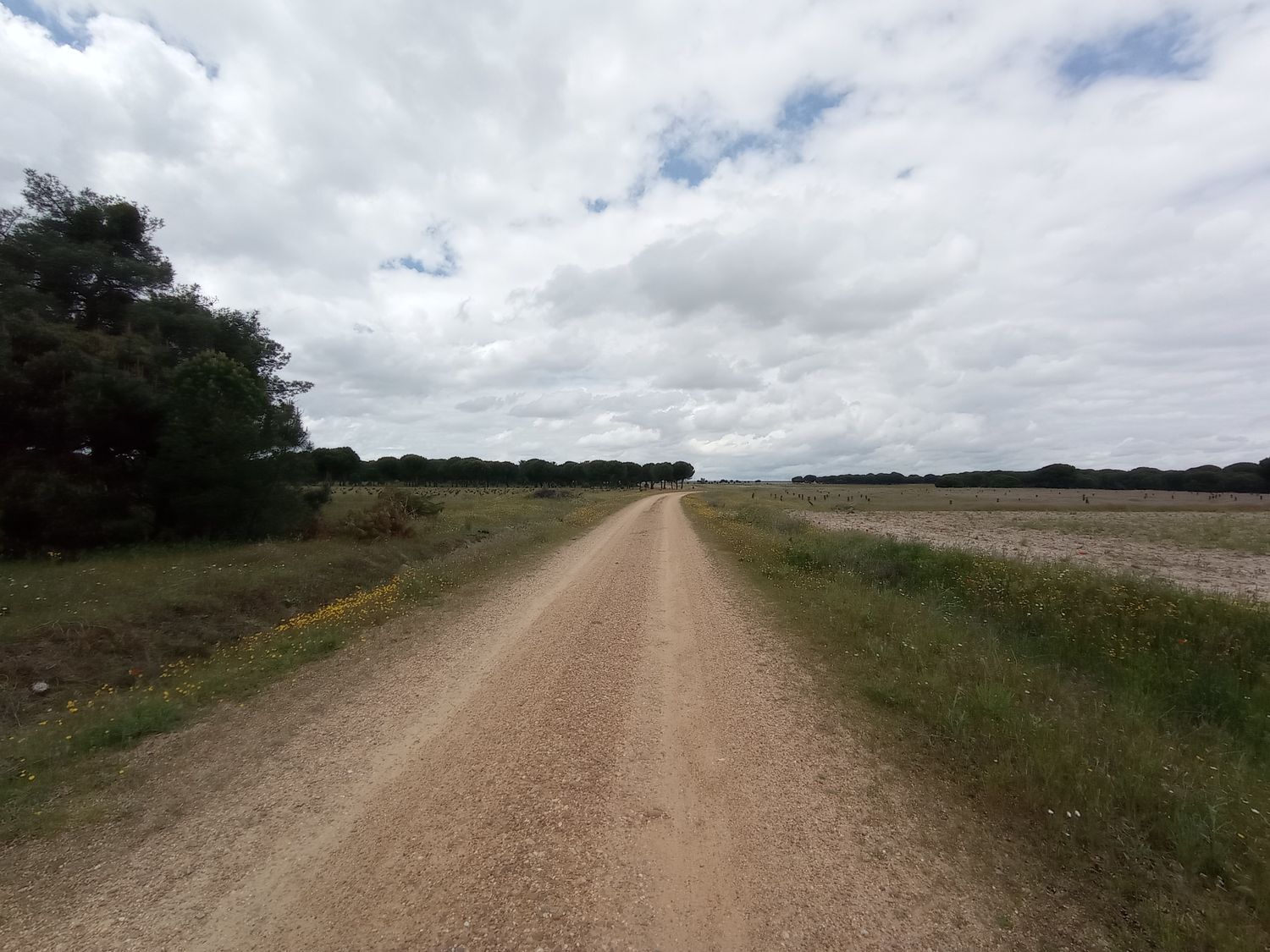 Fincas y solares-Venta-Matapozuelos-1743373-Foto-11