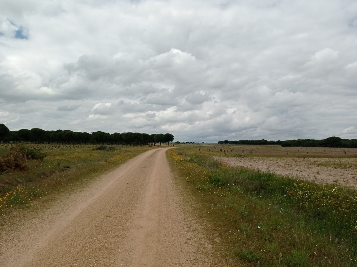 Fincas y solares-Venta-Matapozuelos-1743373-Foto-12